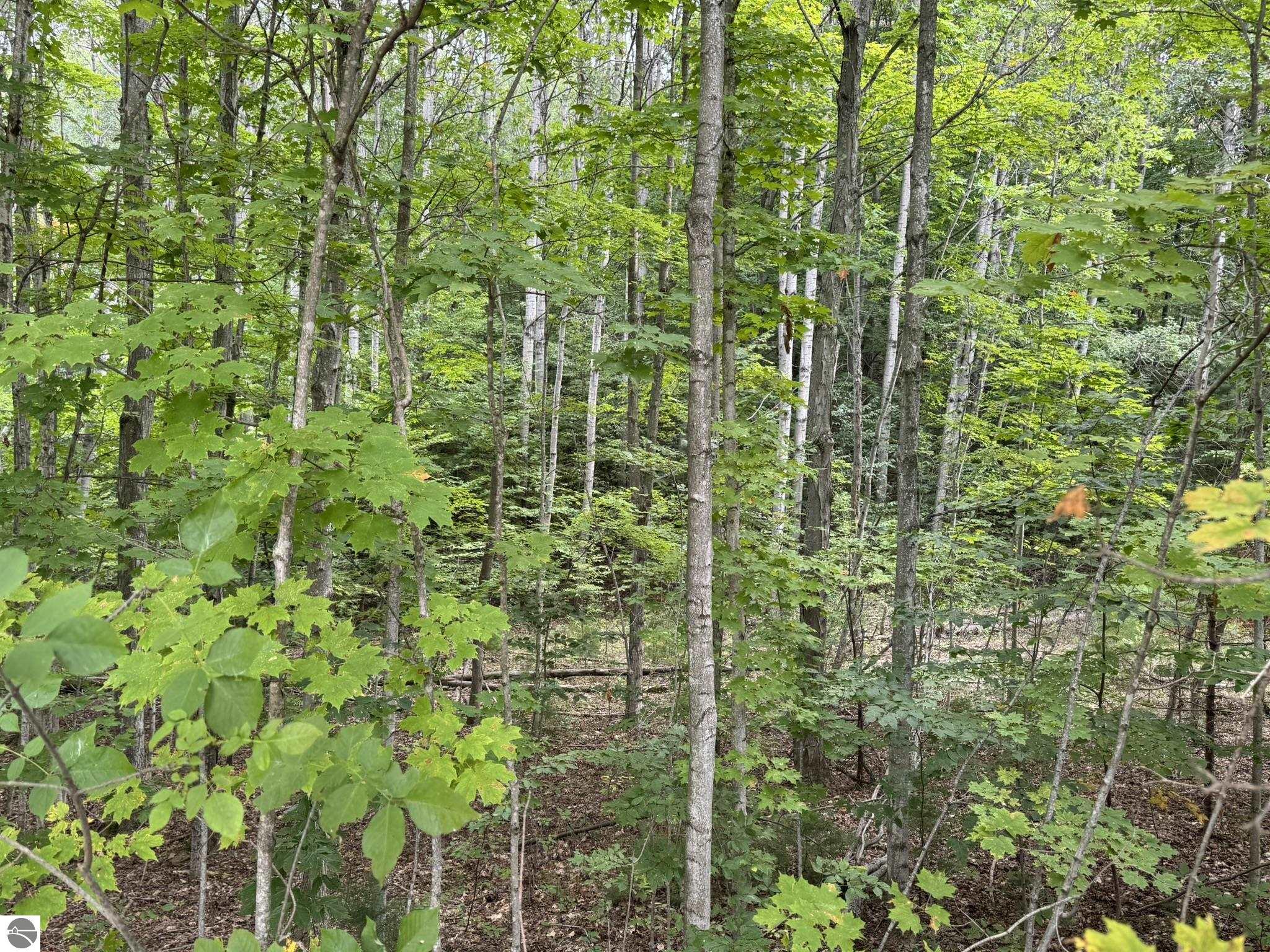 Lot 4 Old Mountain Road