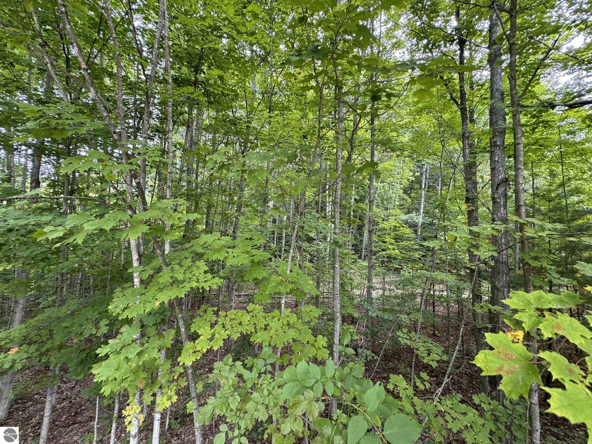 Lot 4 Old Mountain Road