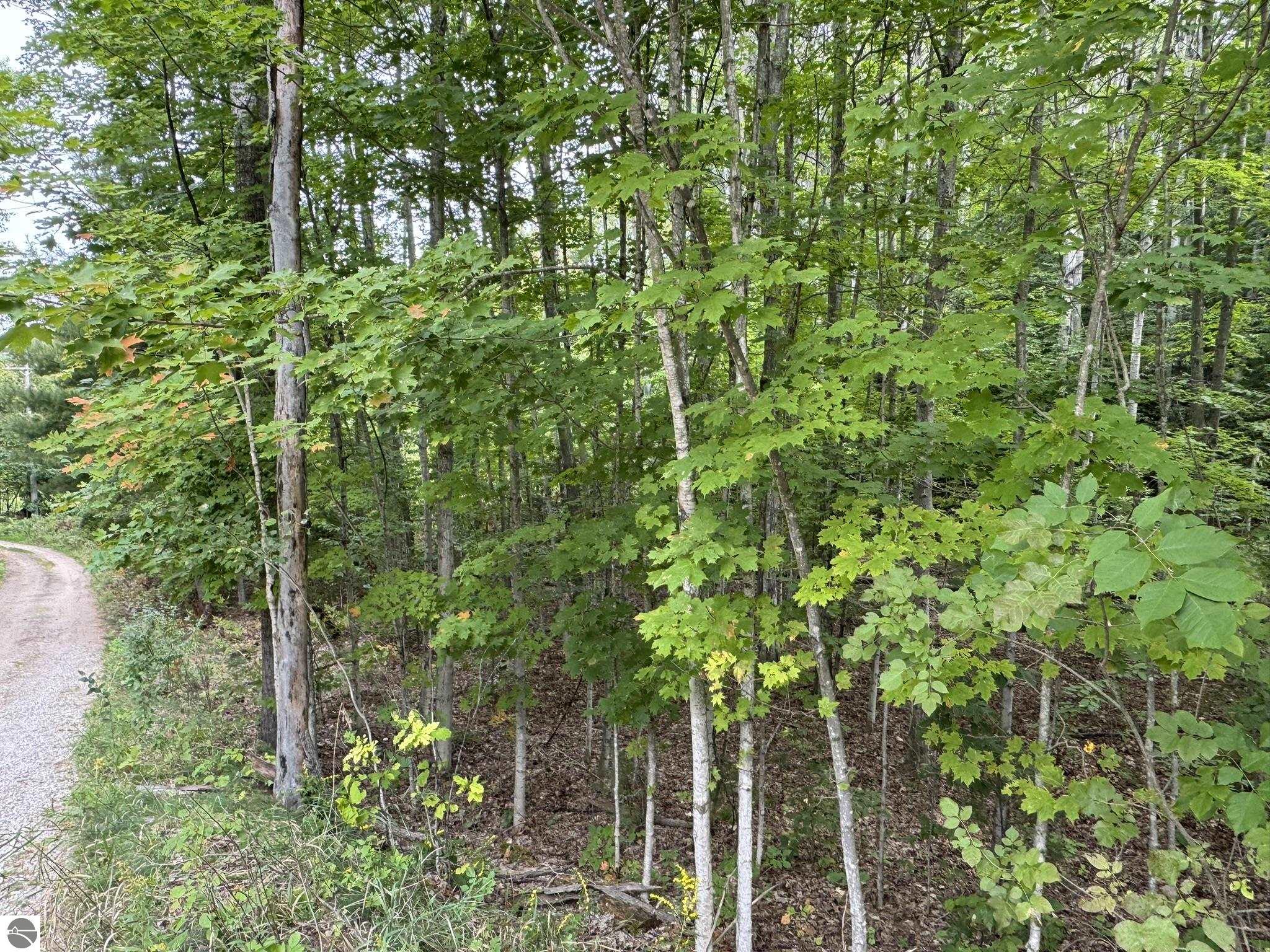 Lot 4 Old Mountain Road