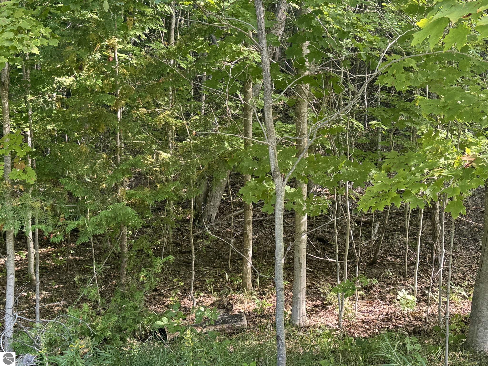 Lot 4 Old Mountain Road