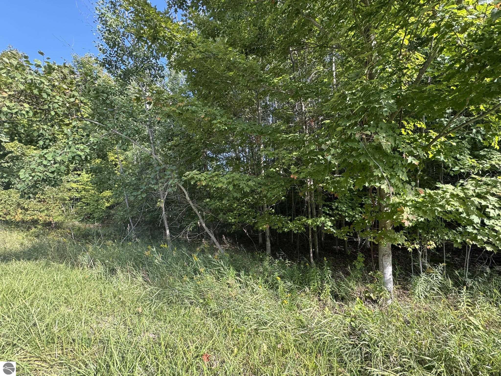 Lot 4 Old Mountain Road