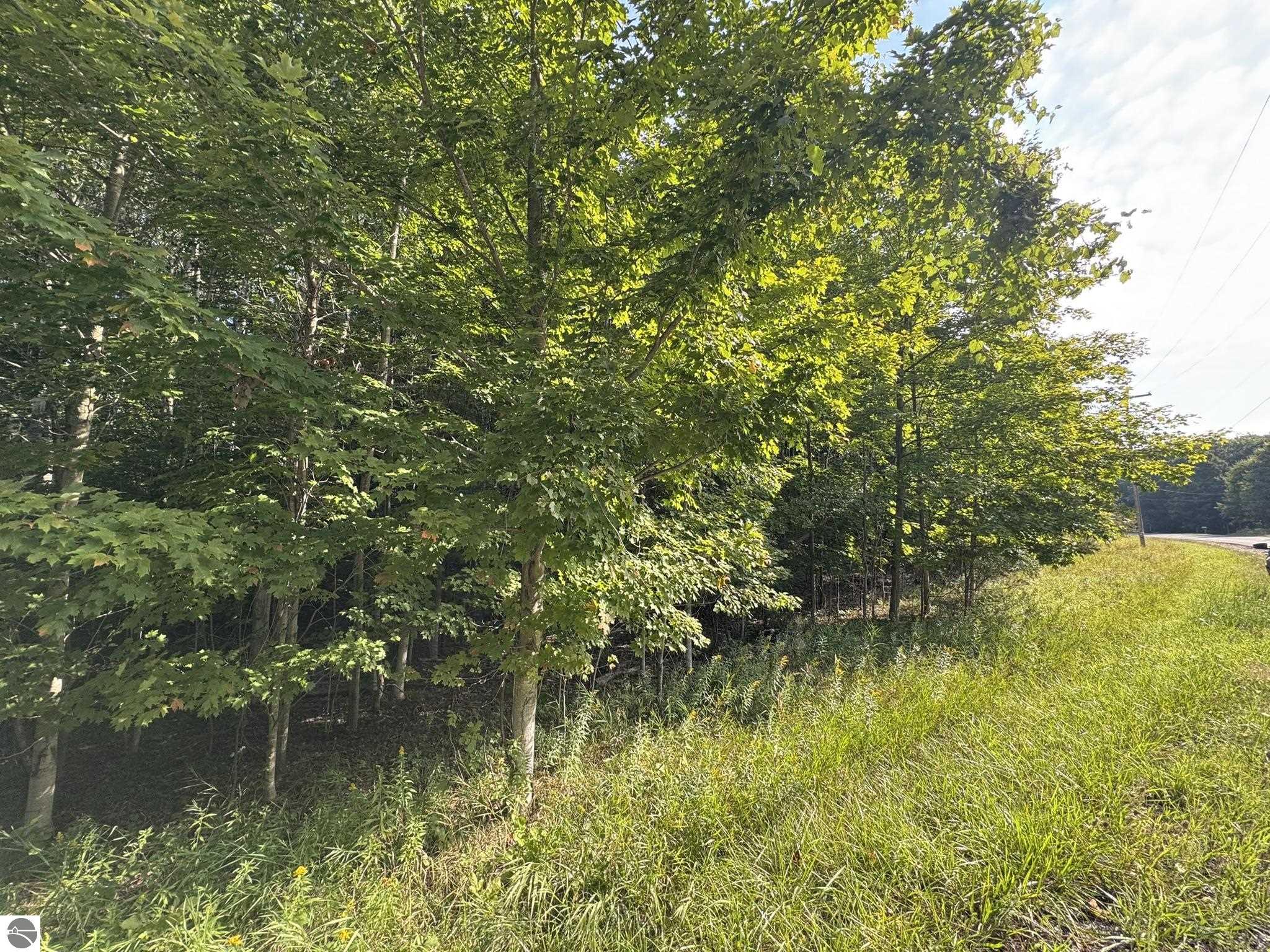 Lot 4 Old Mountain Road