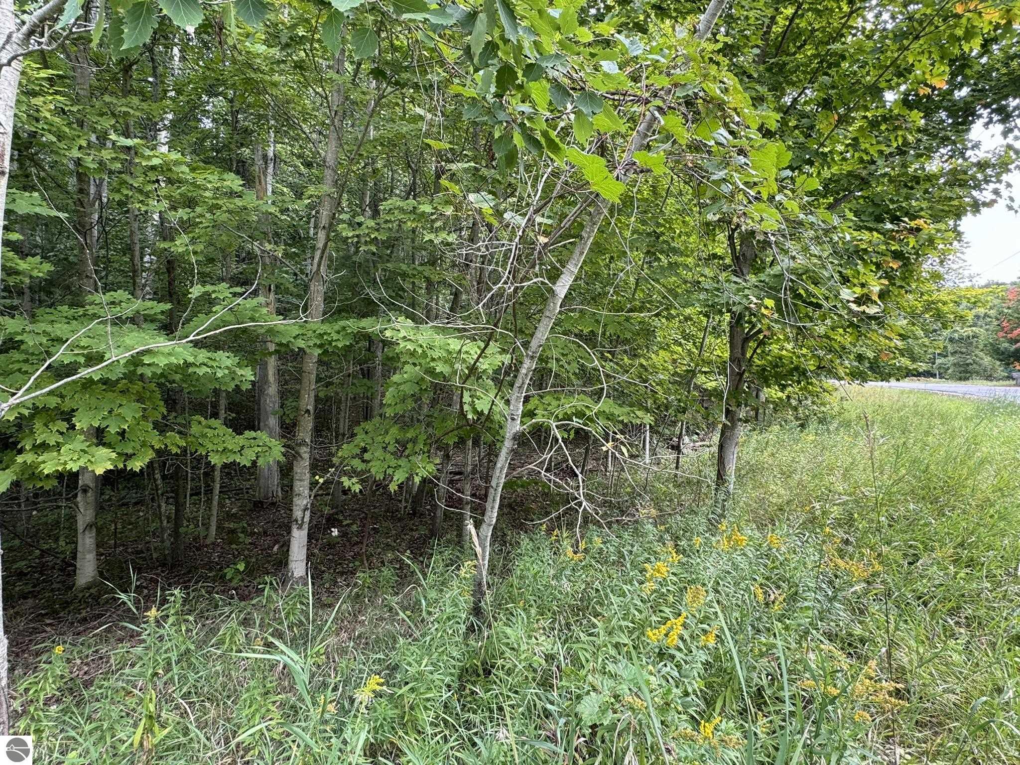 Lot 4 Old Mountain Road
