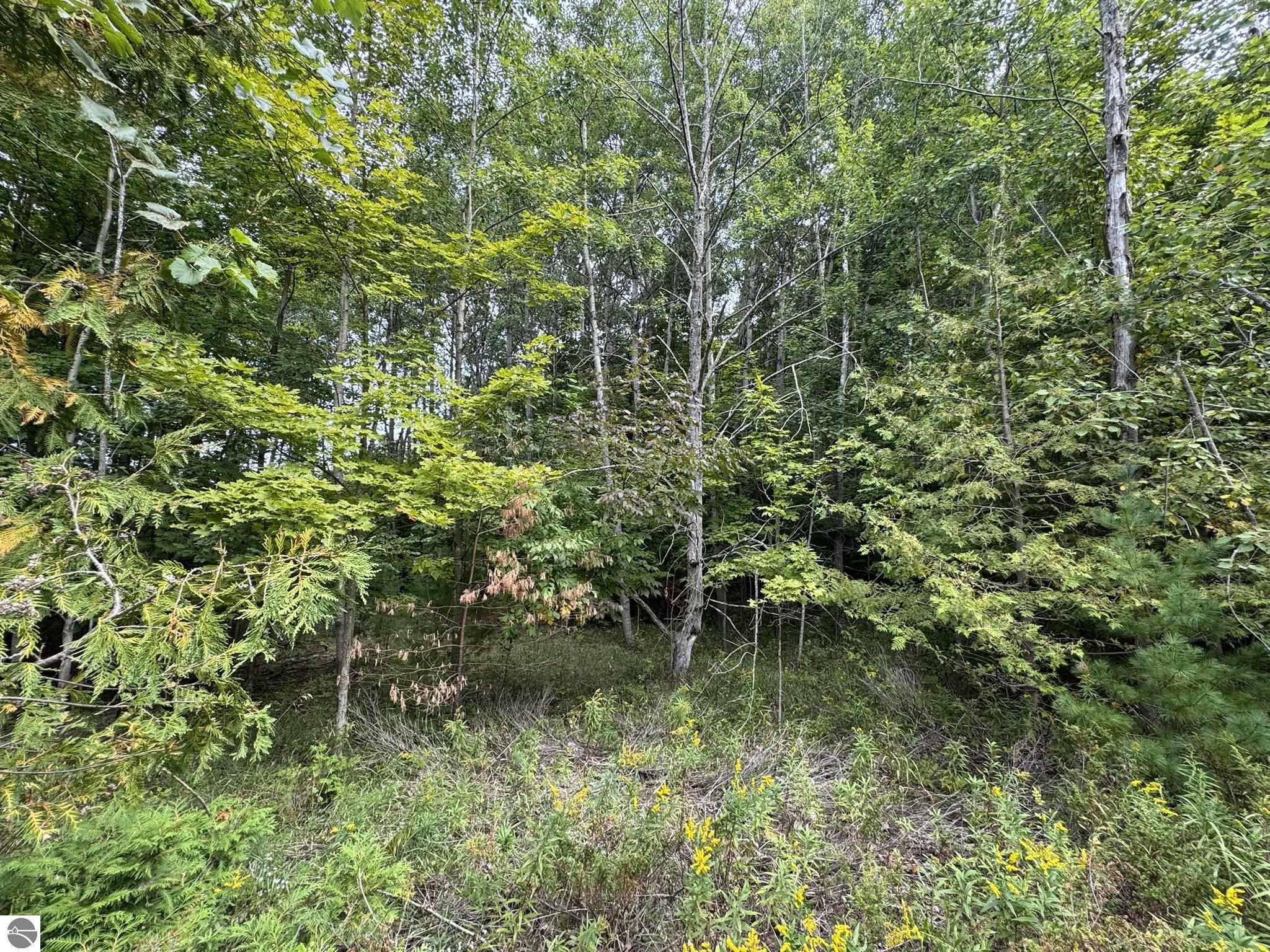 Lot 4 Old Mountain Road