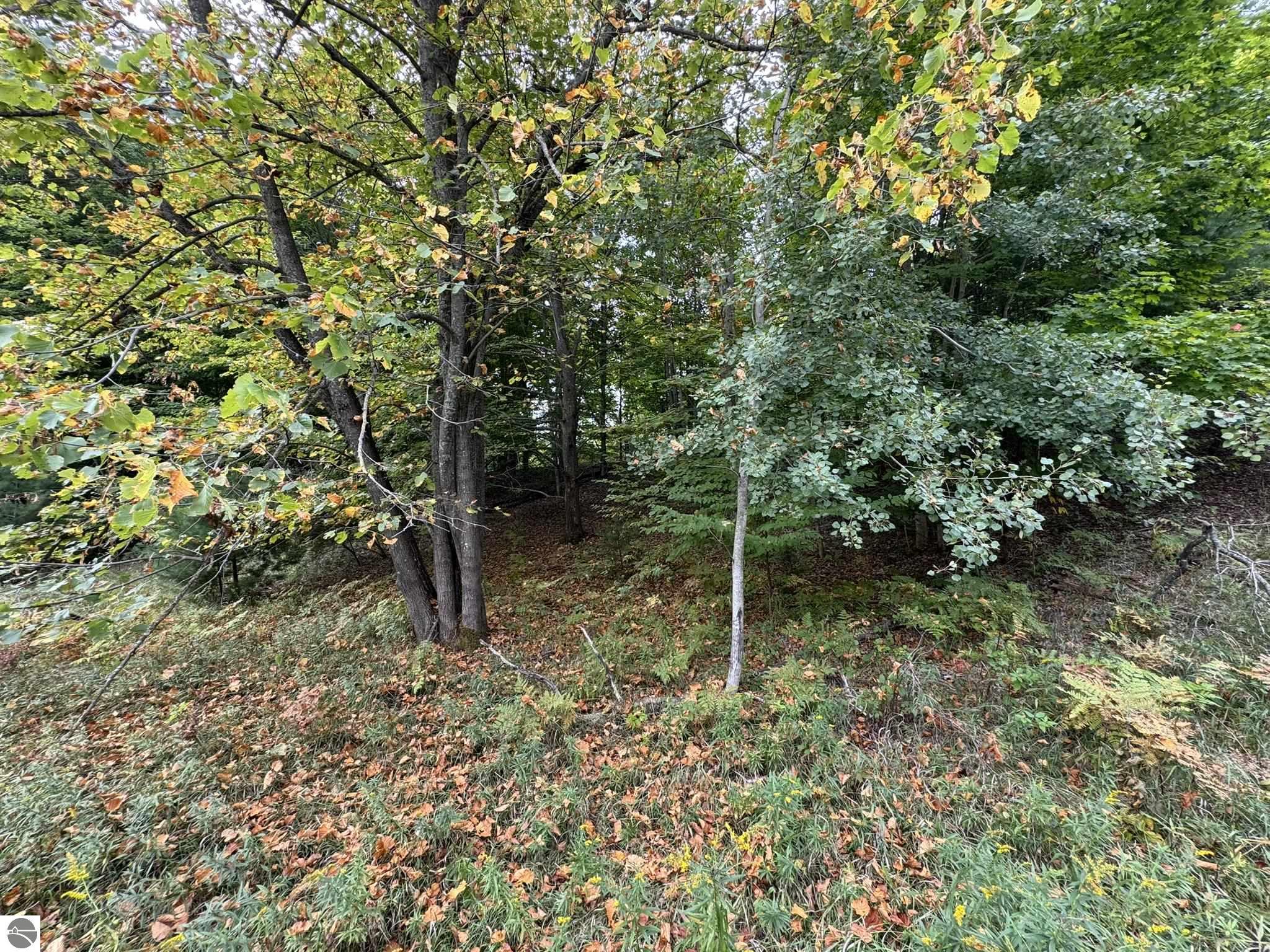 Lot 5 Old Mountain Road