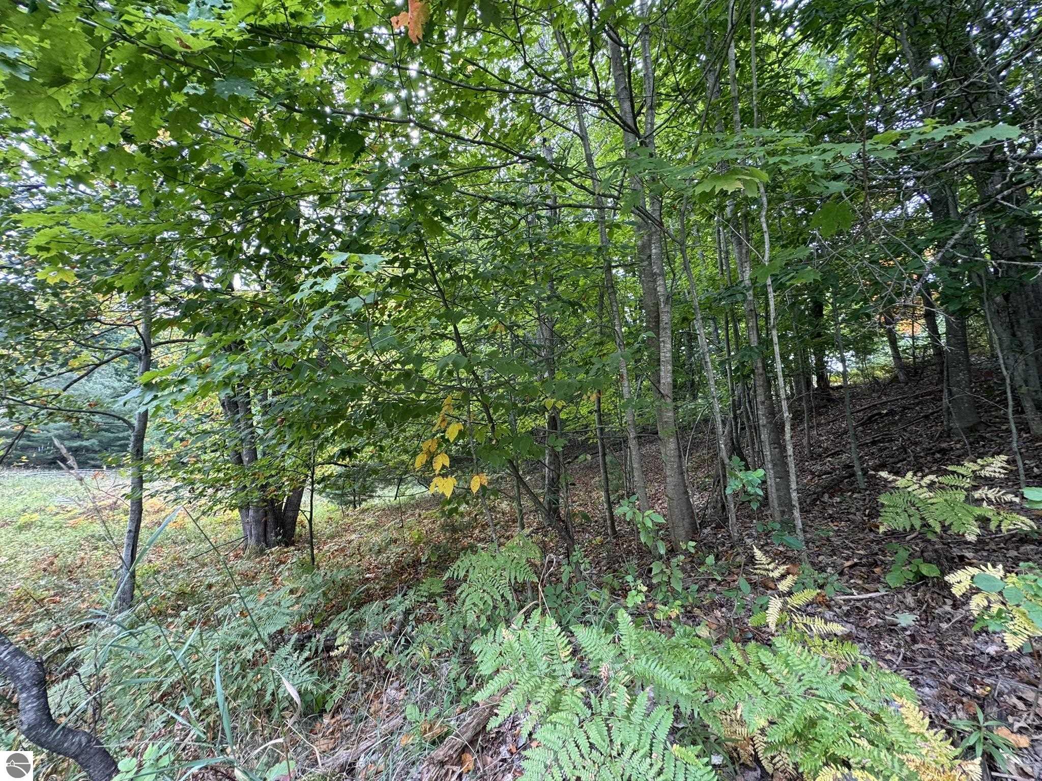 Lot 5 Old Mountain Road