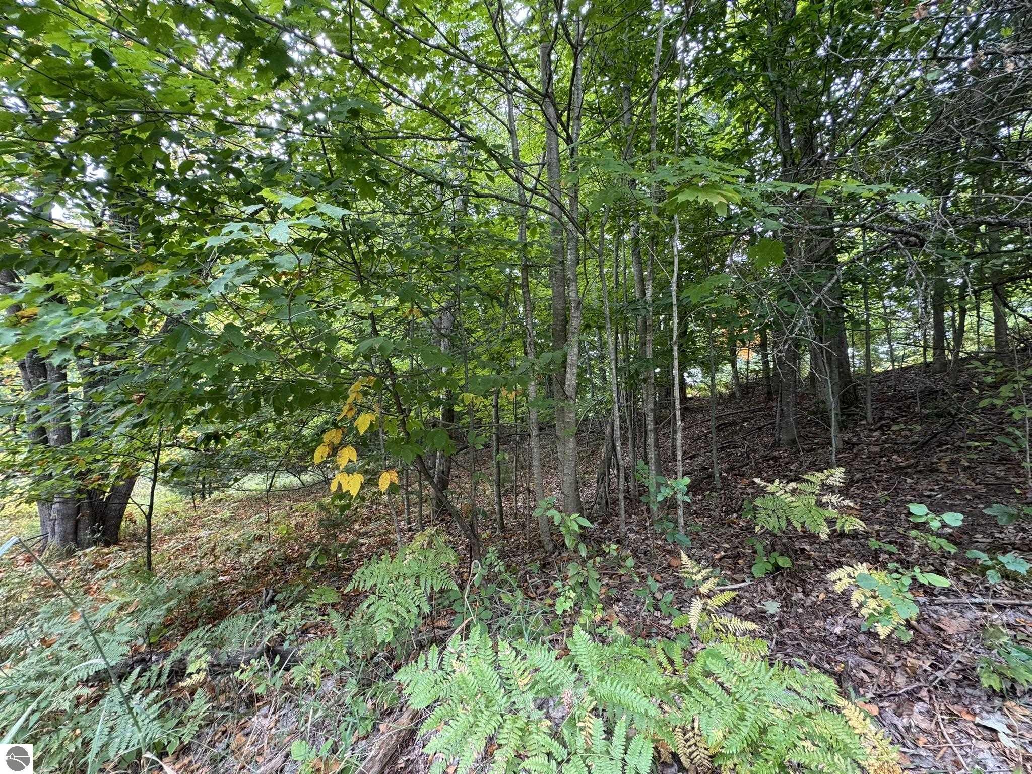 Lot 5 Old Mountain Road