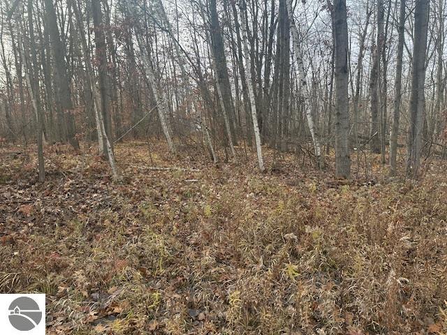 Building site in Lake of the Hills just north of Weidman. Access to waterfront parks for launching. 100 acre lake. Excellent fishing. Lakeview. TriCounty cable internet,high speed internet. Site is .28 acres, 60' x 200'.