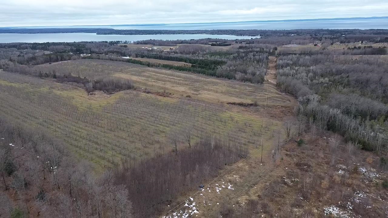 Homes for sale in Central Lake, MI | 0 N M 88, Central Lake, MI 49622 | MLS# 80053211