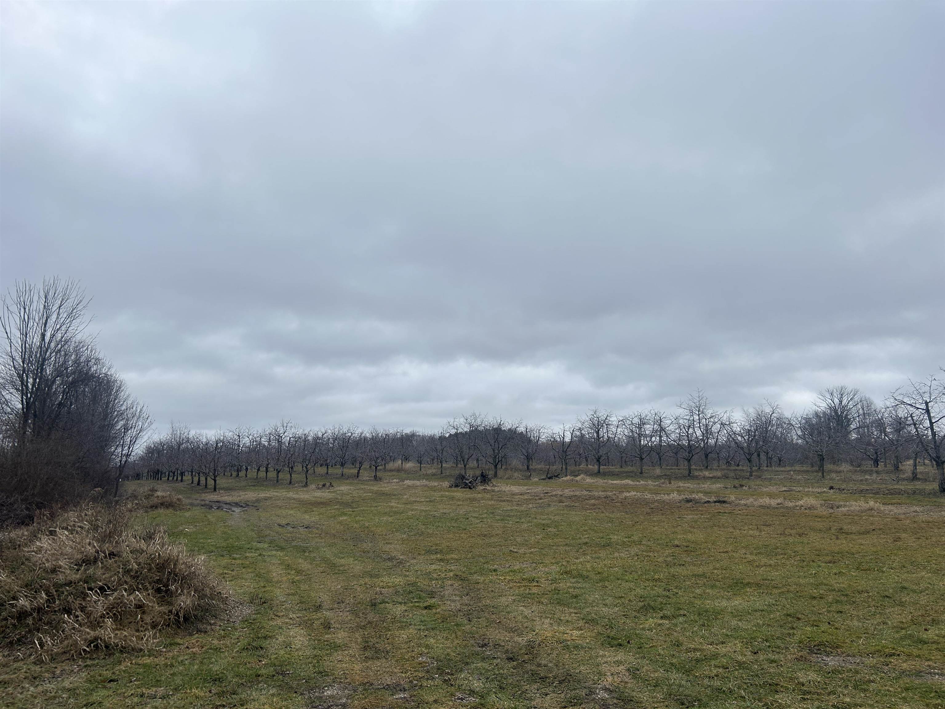 Homes for sale in Central Lake, MI | 0 N M 88, Central Lake, MI 49622 | MLS# 80053211