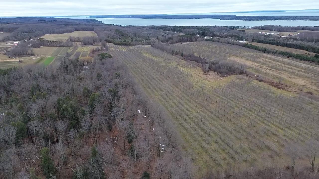 Homes for sale in Central Lake, MI | 0 N M-88, Central Lake, MI 49622 | MLS# 80053211