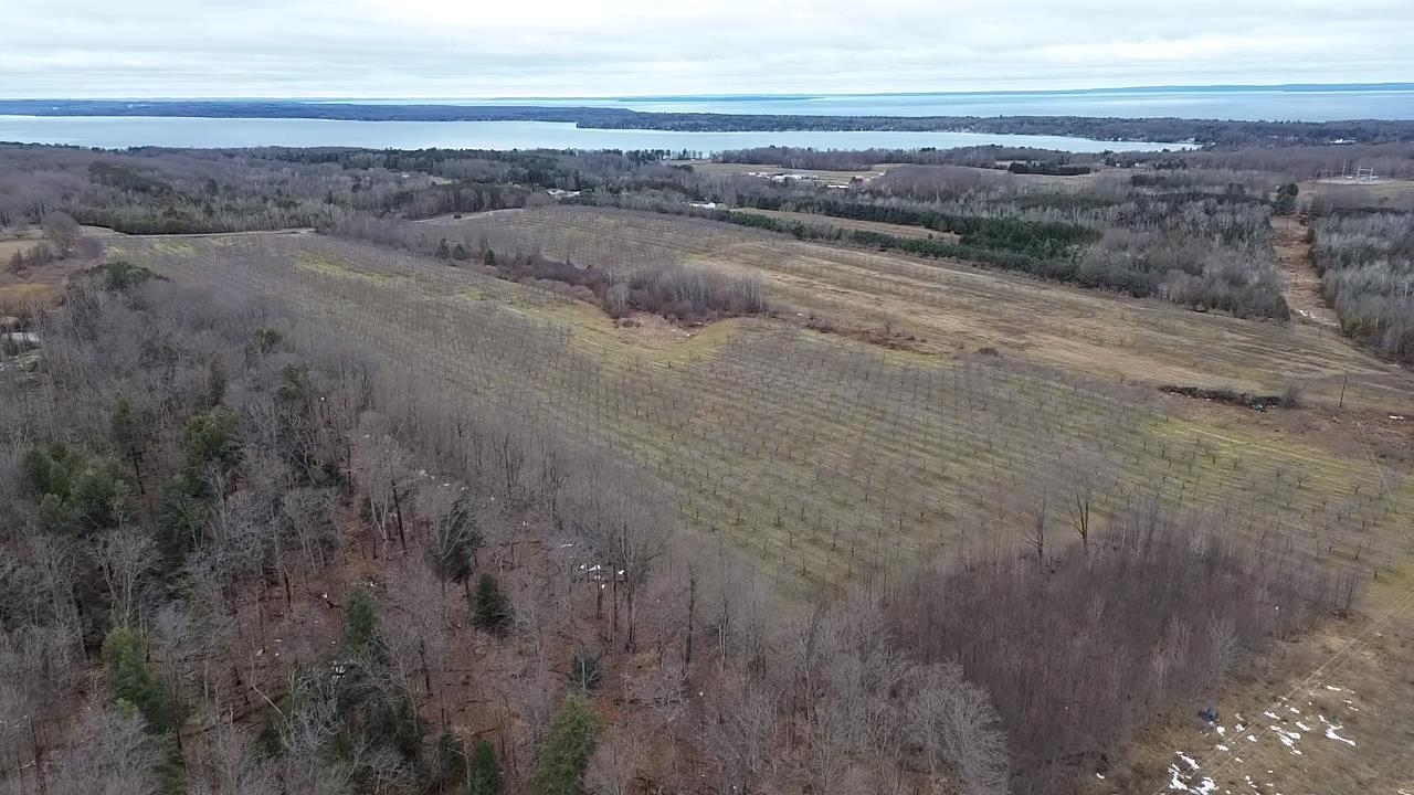 Homes for sale in Central Lake, MI | 0 N M-88, Central Lake, MI 49622 | MLS# 80053211