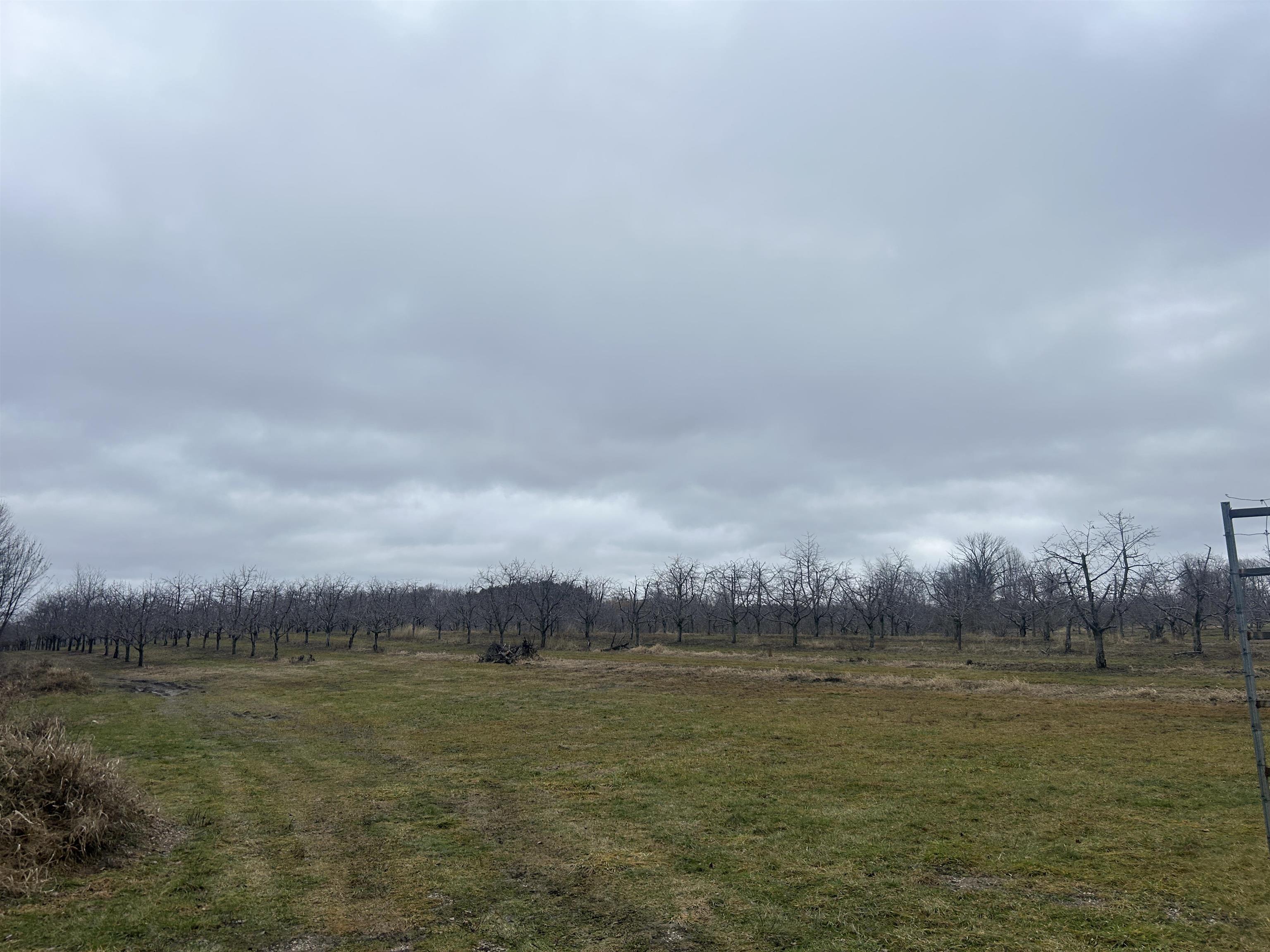 Homes for sale in Central Lake, MI | 0 N M-88, Central Lake, MI 49622 | MLS# 80053211