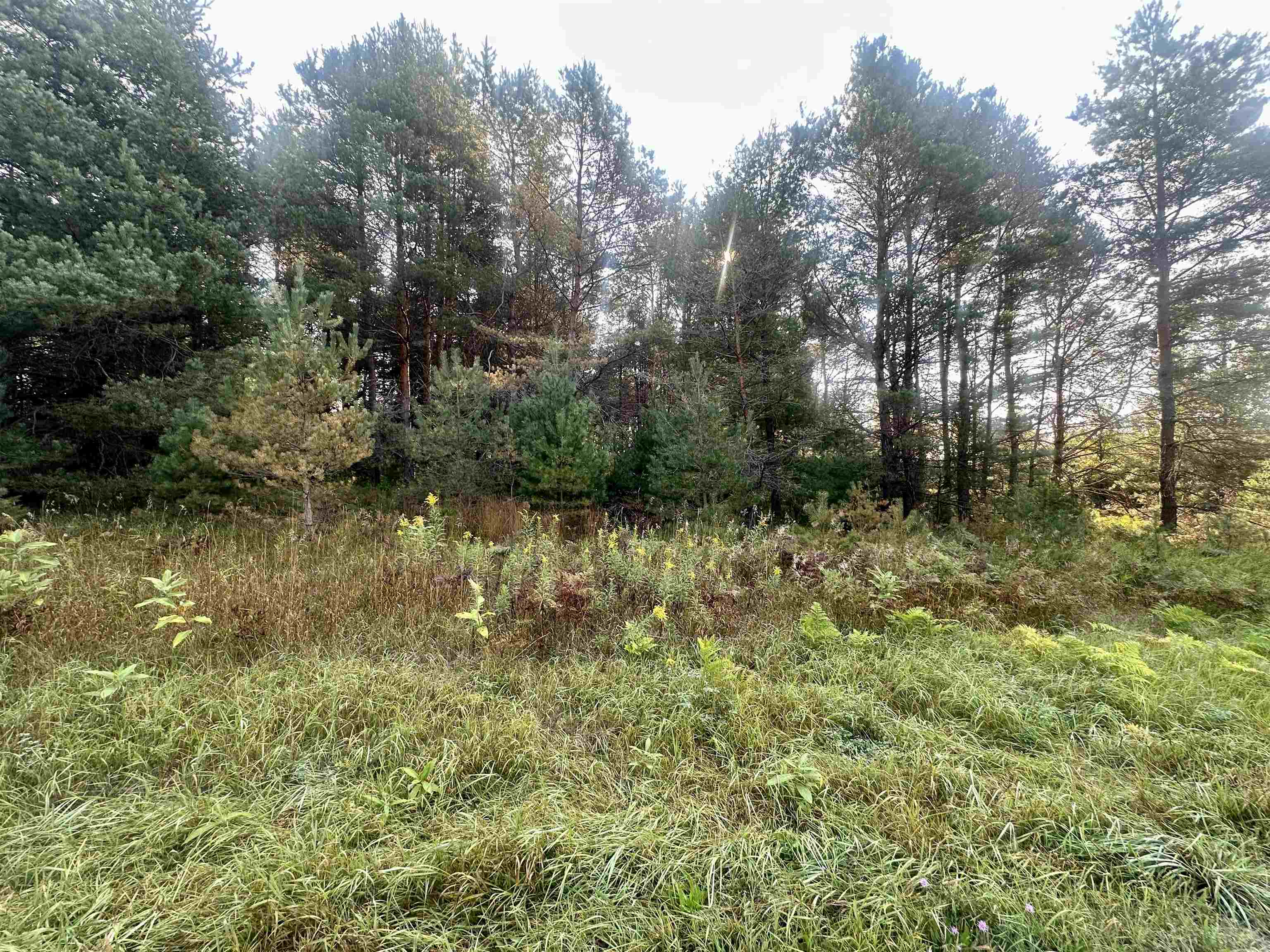 Homes for sale in Fife Lake, MI | 0 Ingersoll Rd, Fife Lake, MI 49633 | MLS# 80053316