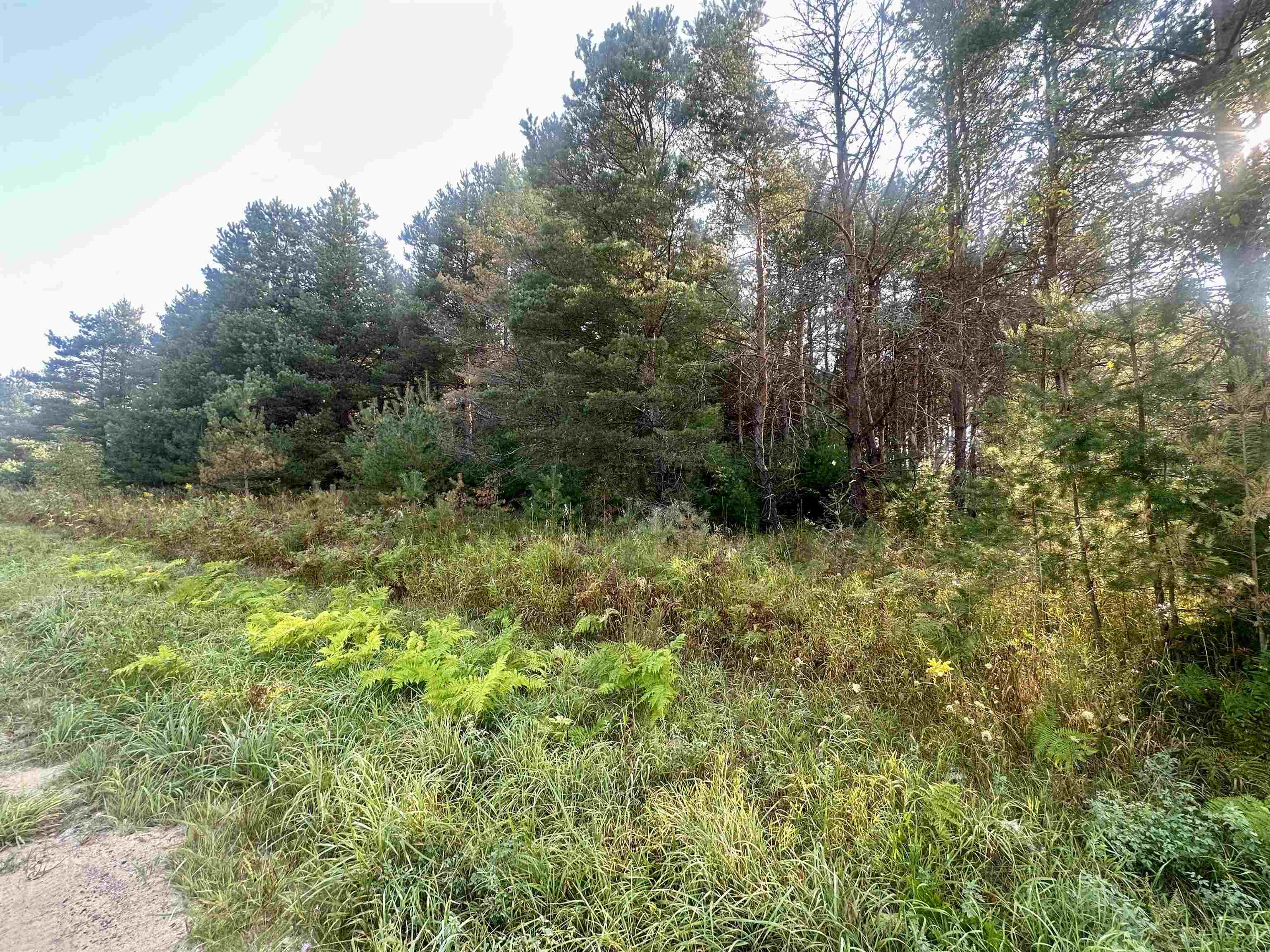 Homes for sale in Fife Lake, MI | 0 Ingersoll Rd, Fife Lake, MI 49633 | MLS# 80053316