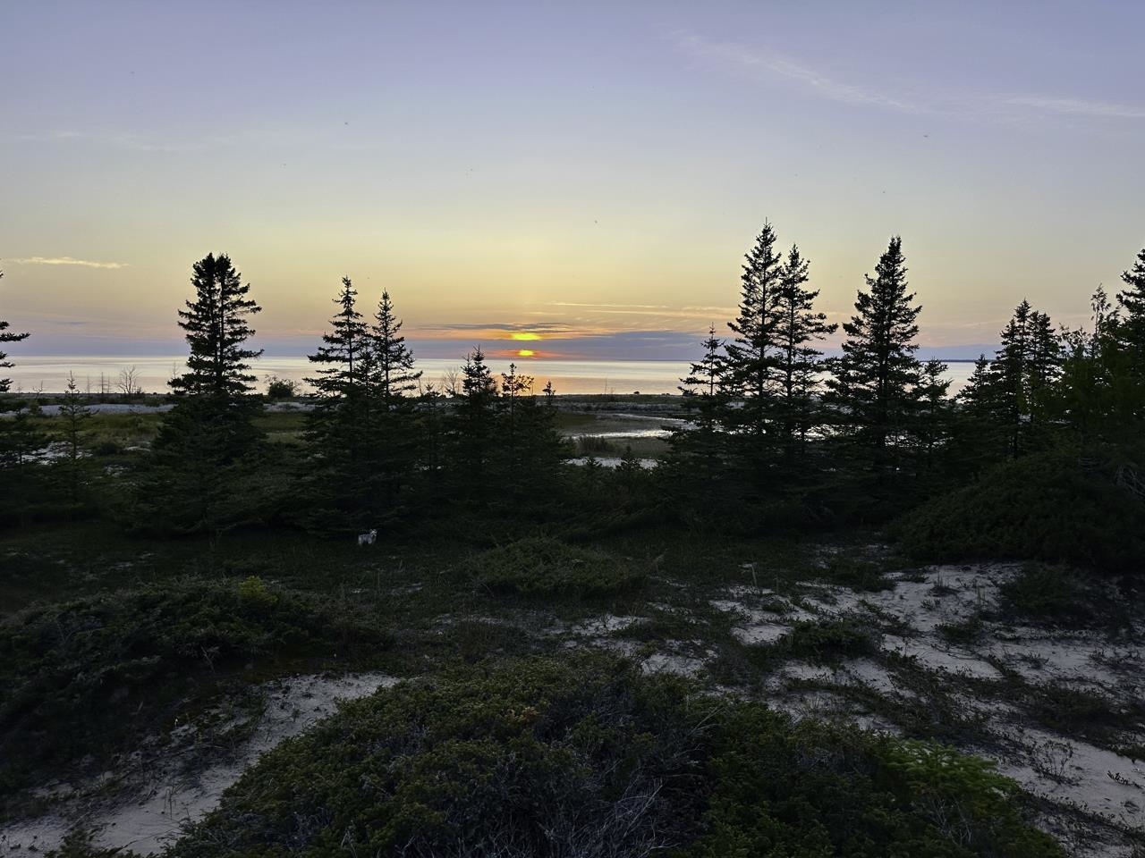 Homes for sale in Beaver Island, MI | Tbd Mrs Reddings Trl, Beaver Island, MI 49782 | MLS# 80053490