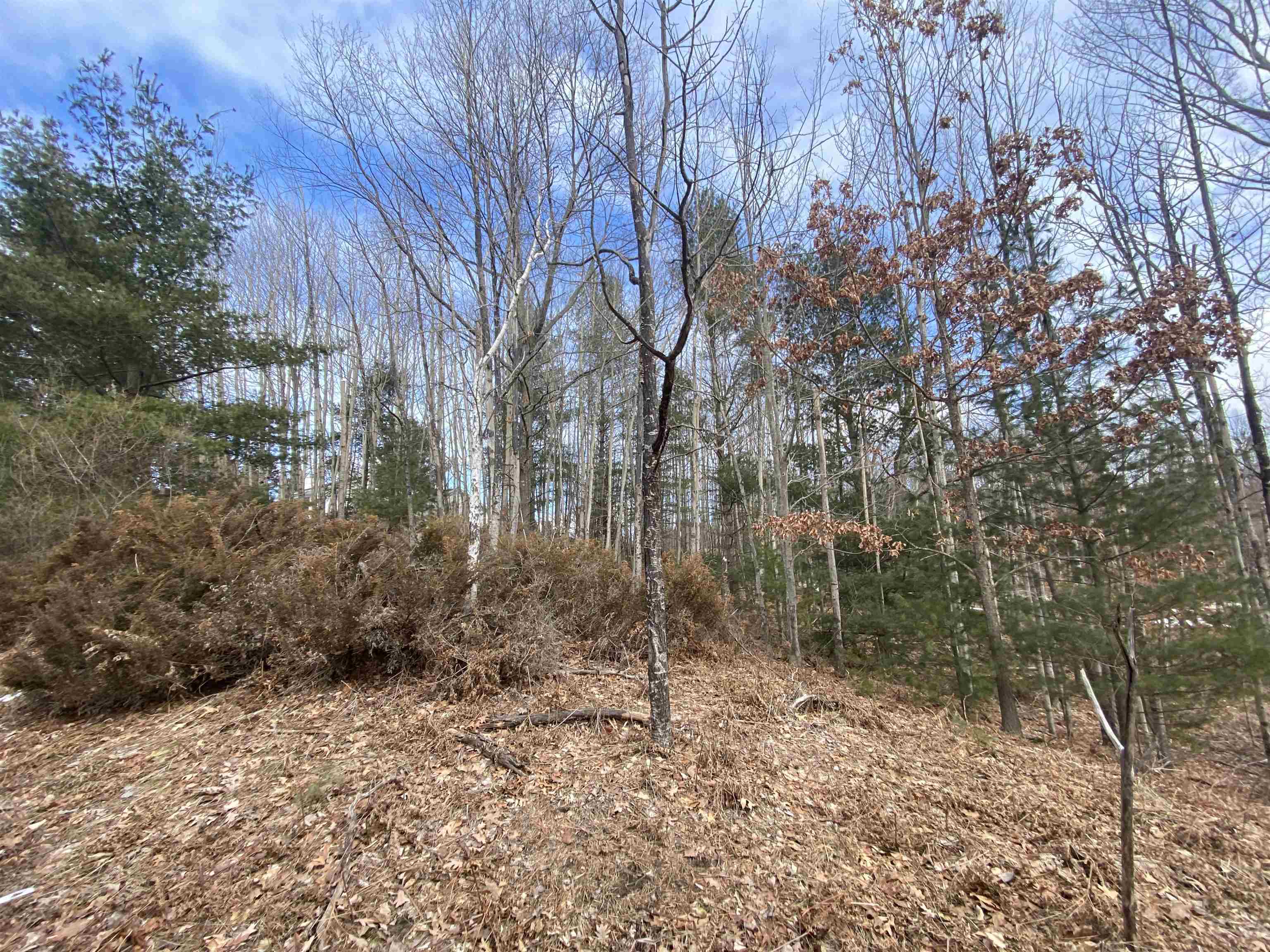 Homes for sale in Williamsburg, MI | Lot 31 Scenic Hills Dr, Williamsburg, MI 49690 | MLS# 80053616