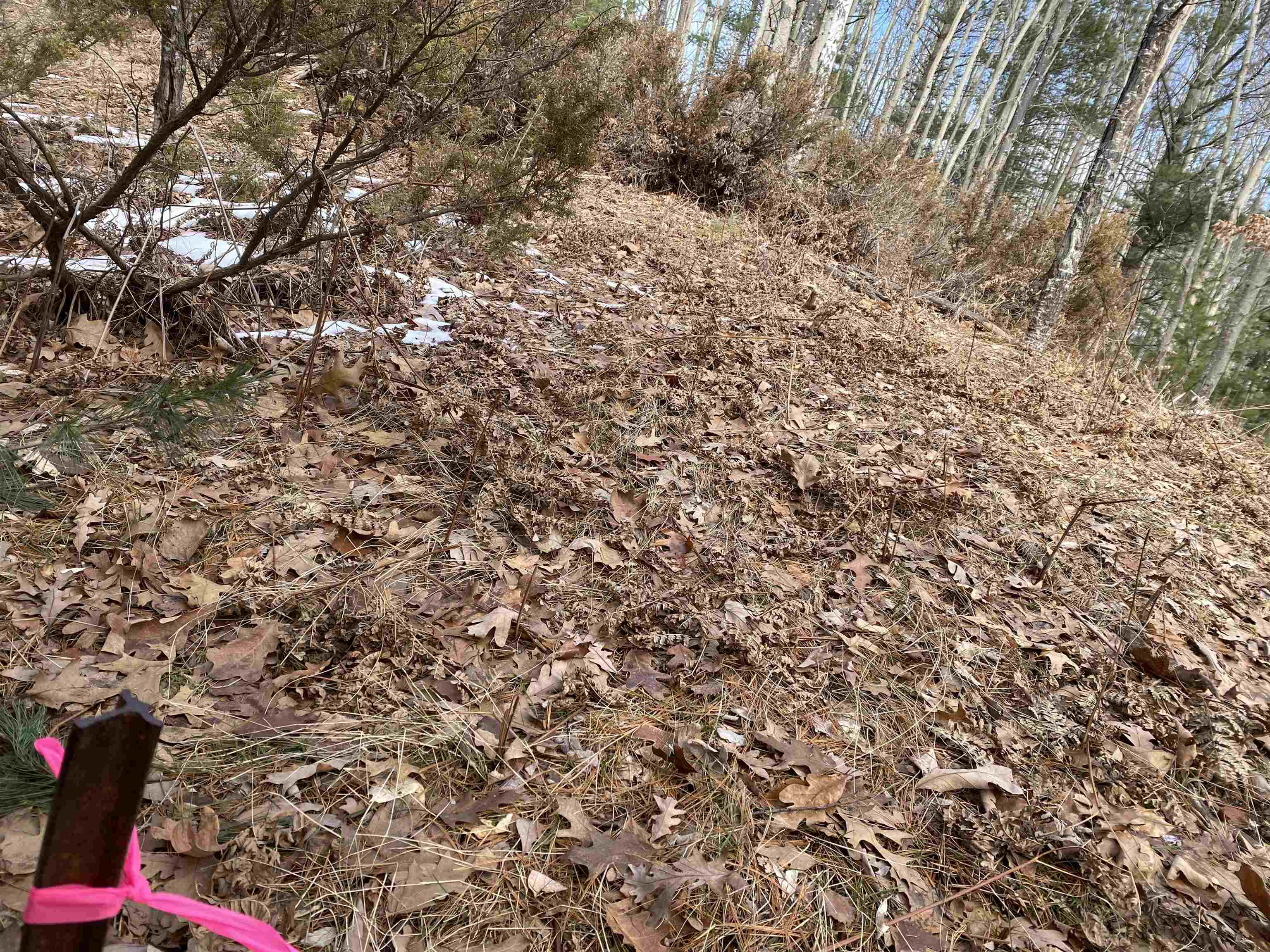 Homes for sale in Williamsburg, MI | Lot 31 Scenic Hills Dr, Williamsburg, MI 49690 | MLS# 80053616