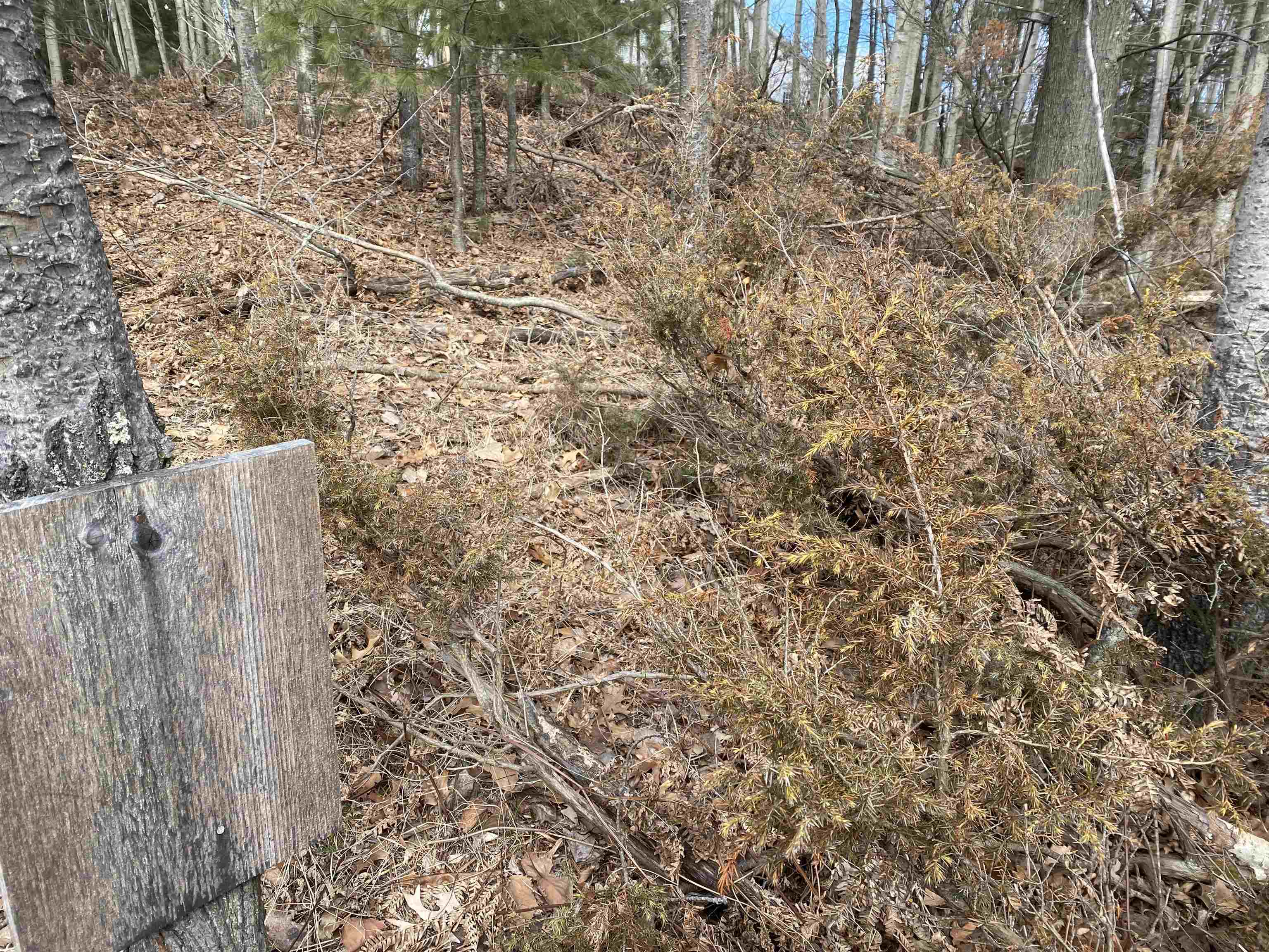 Homes for sale in Williamsburg, MI | Lot 31 Scenic Hills Dr, Williamsburg, MI 49690 | MLS# 80053616