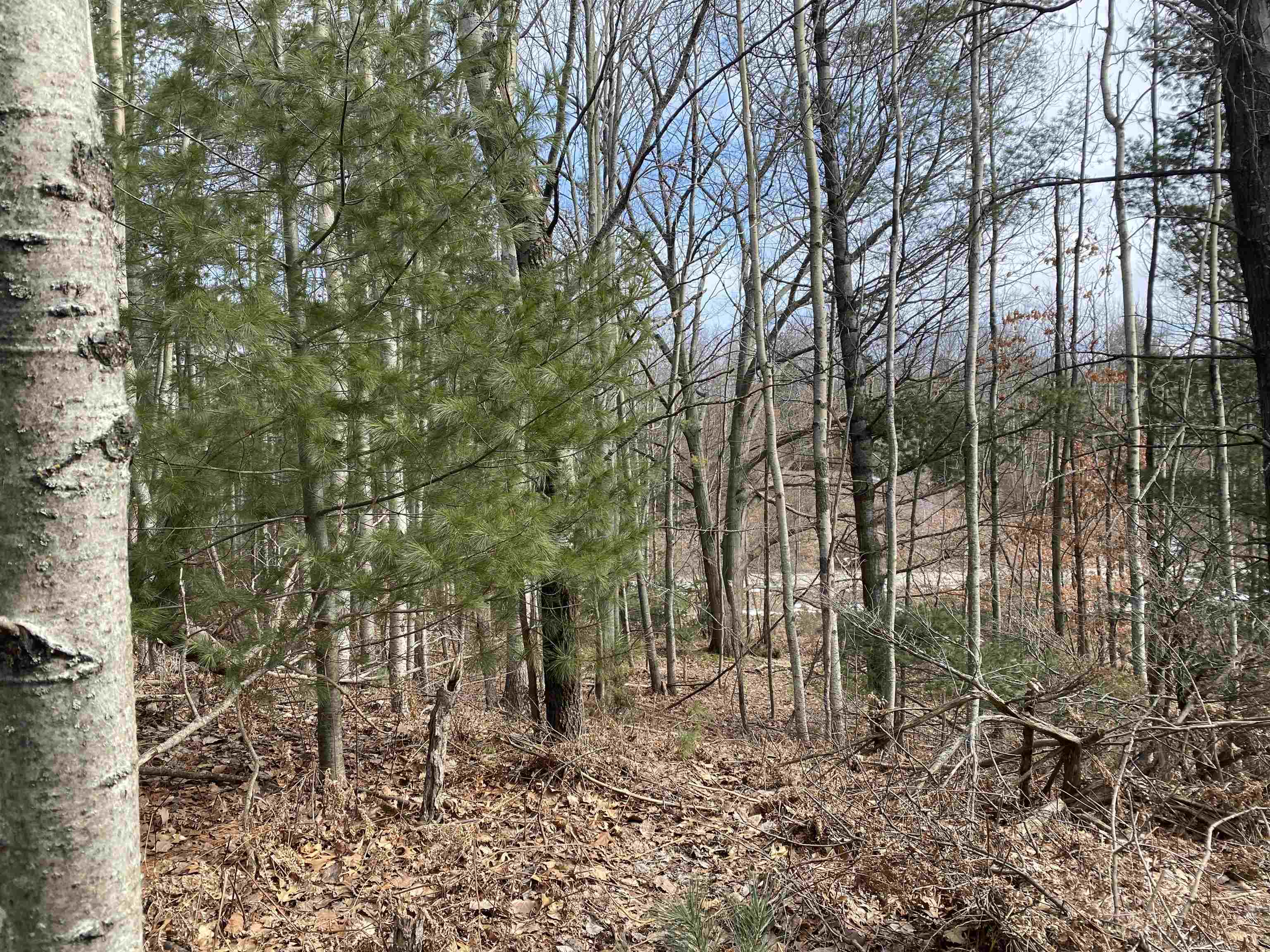 Homes for sale in Williamsburg, MI | Lot 31 Scenic Hills Dr, Williamsburg, MI 49690 | MLS# 80053616