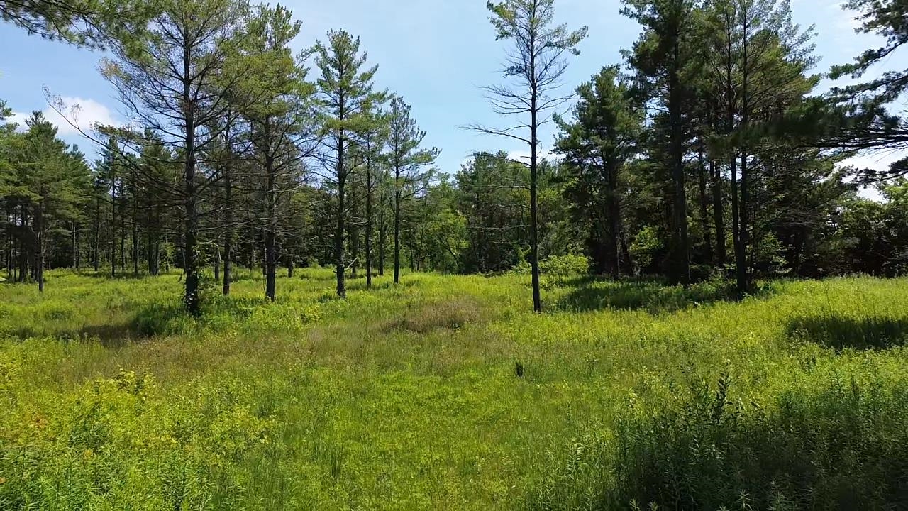 Homes for sale in Elk Rapids, MI | 0 S Us-31, Elk Rapids, MI 49629 | MLS# 80053901