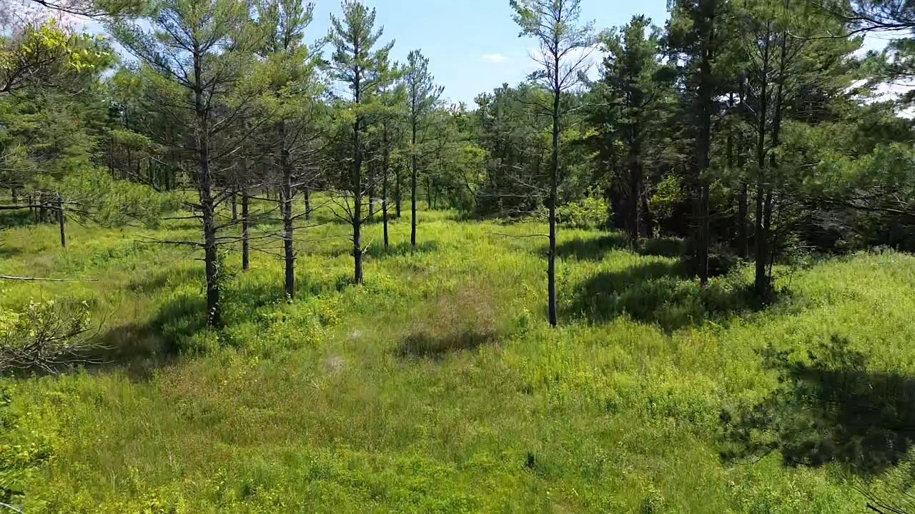 Homes for sale in Elk Rapids, MI | 0 S Us-31, Elk Rapids, MI 49629 | MLS# 80053901