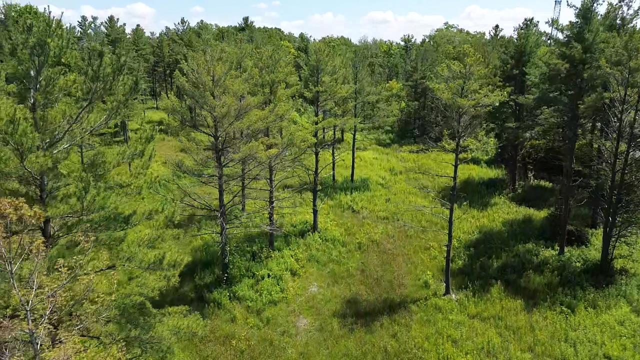 Homes for sale in Elk Rapids, MI | 0 S Us-31, Elk Rapids, MI 49629 | MLS# 80053901