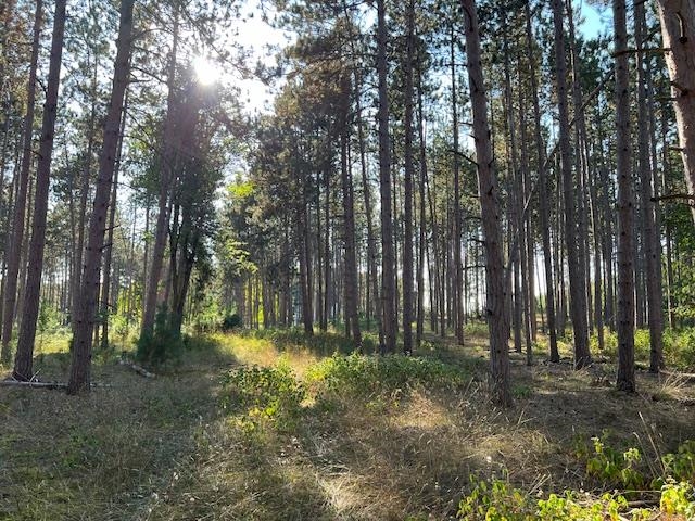 Homes for sale in Williamsburg, MI | 0 Samels Rd, Williamsburg, MI 49690 | MLS# 80055236