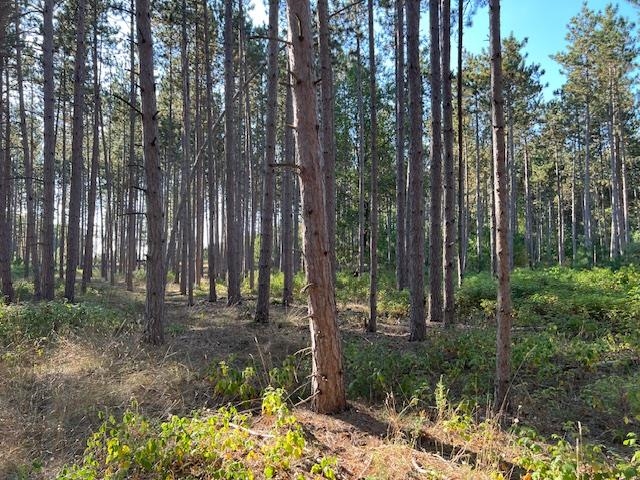 Homes for sale in Williamsburg, MI | 0 Samels Rd, Williamsburg, MI 49690 | MLS# 80055236