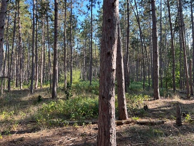 Homes for sale in Williamsburg, MI | 0 Samels Rd, Williamsburg, MI 49690 | MLS# 80055236