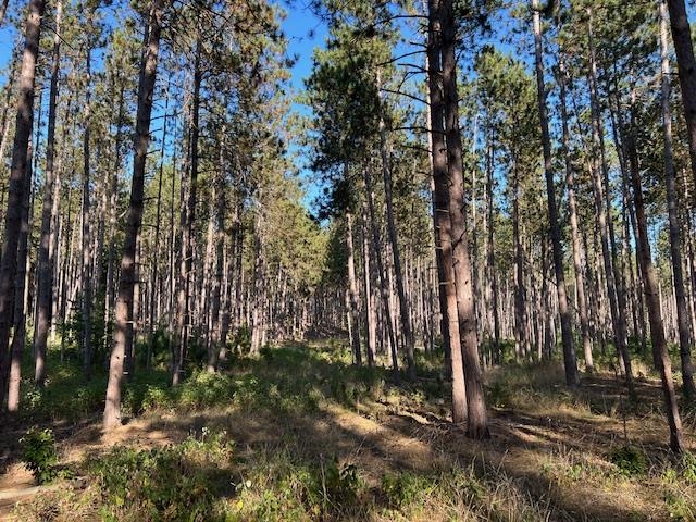 Homes for sale in Williamsburg, MI | 0 Samels Rd, Williamsburg, MI 49690 | MLS# 80055236