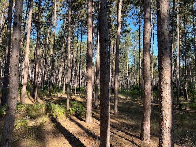 Homes for sale in Williamsburg, MI | 0 Samels Rd, Williamsburg, MI 49690 | MLS# 80055236