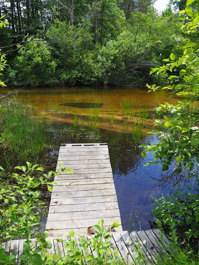 Homes for sale in Thompsonville, MI | Lot 4 Meadow Ln, Thompsonville, MI 49683 | MLS# 80055251