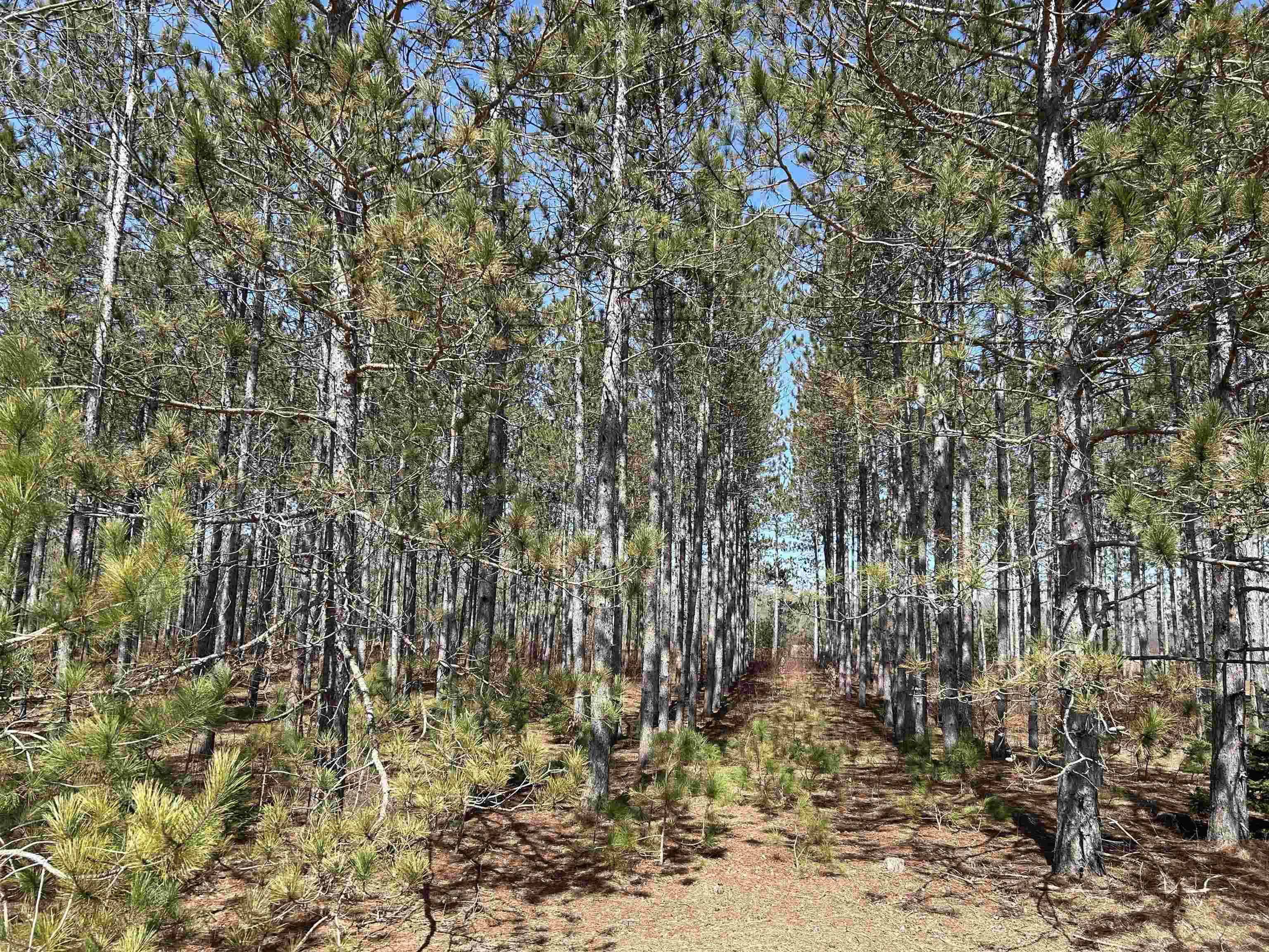 Homes for sale in Thompsonville, MI | Lot 4 Meadow Ln, Thompsonville, MI 49683 | MLS# 80055251