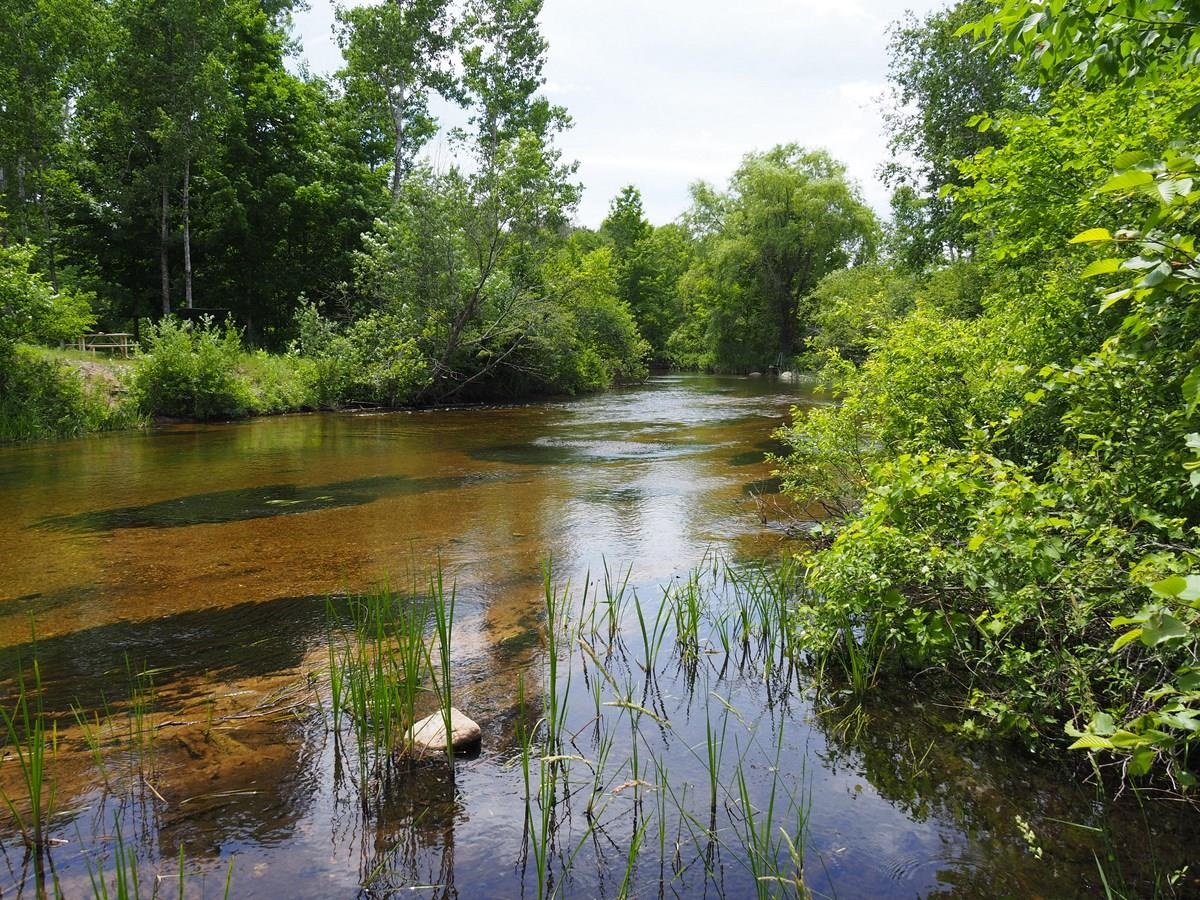 Homes for sale in Thompsonville, MI | Lot 4 Meadow Ln, Thompsonville, MI 49683 | MLS# 80055251