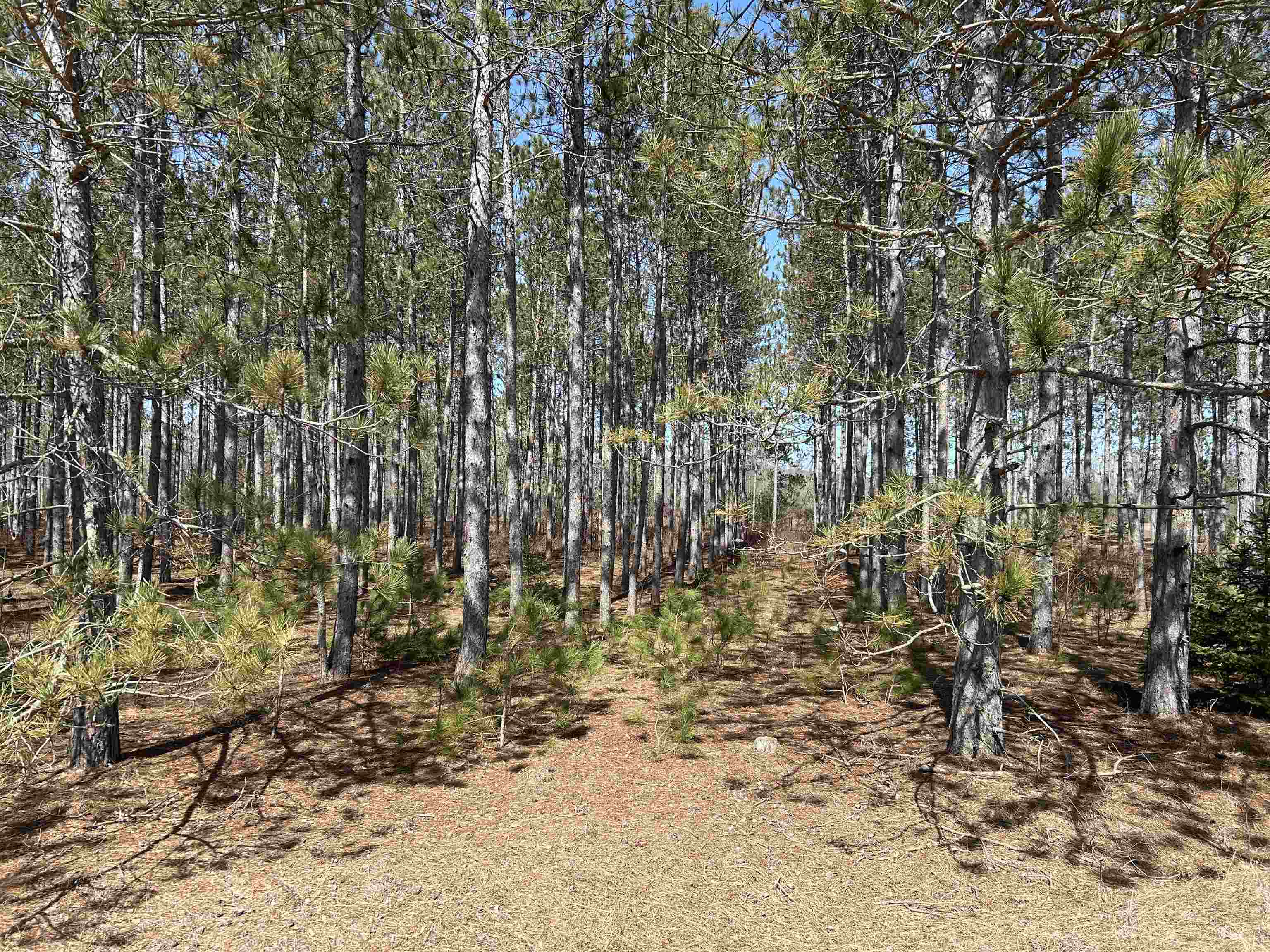 Homes for sale in Thompsonville, MI | Lot 4 Meadow Ln, Thompsonville, MI 49683 | MLS# 80055251