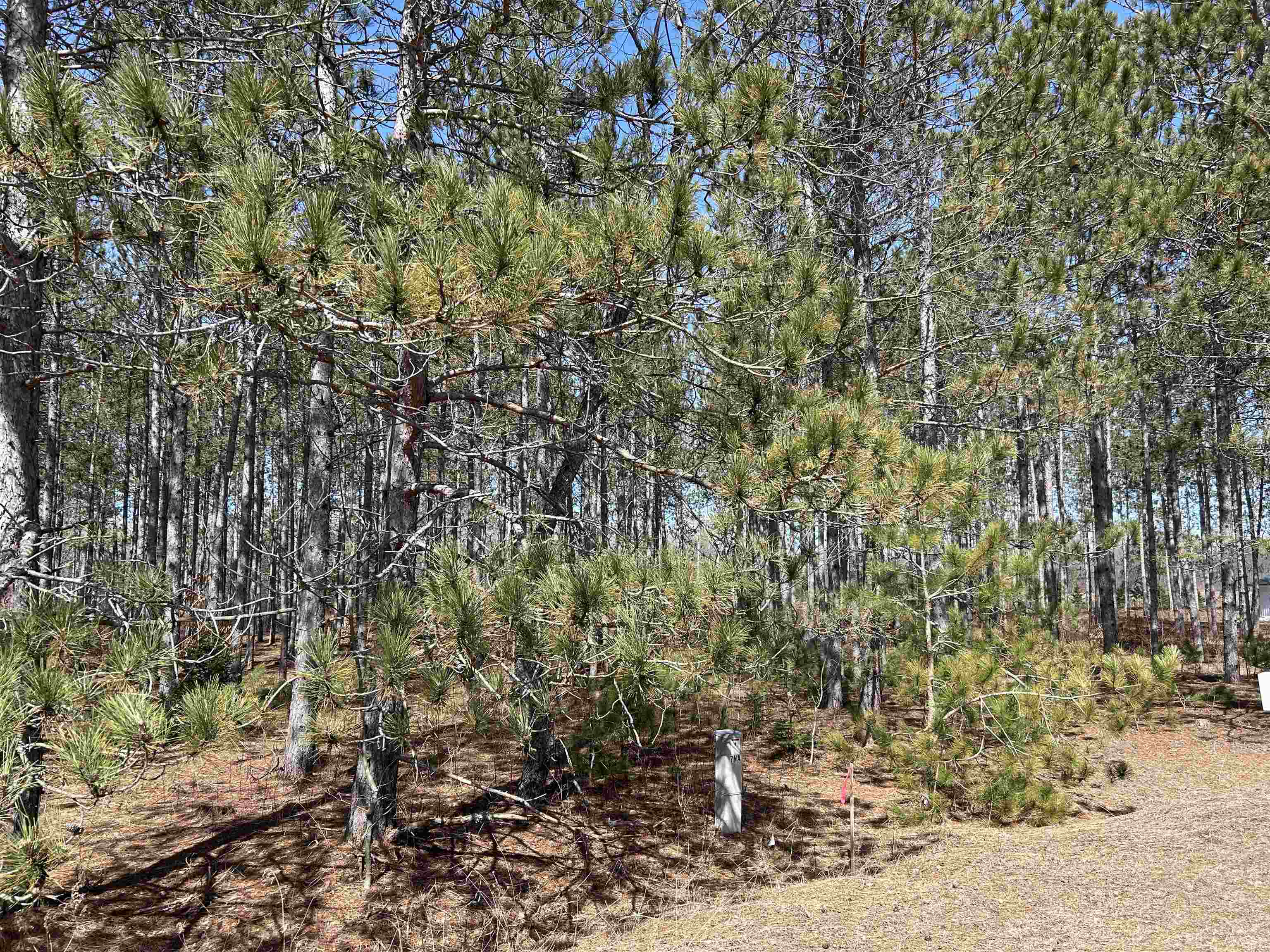 Homes for sale in Thompsonville, MI | Lot 4 Meadow Ln, Thompsonville, MI 49683 | MLS# 80055251