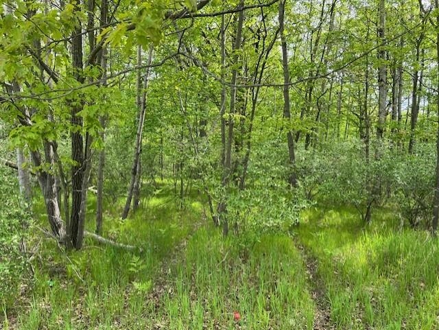 Homes for sale in Weidman, MI | 1004 Duquesa Dr, Weidman, MI 48893 | MLS# 80055315