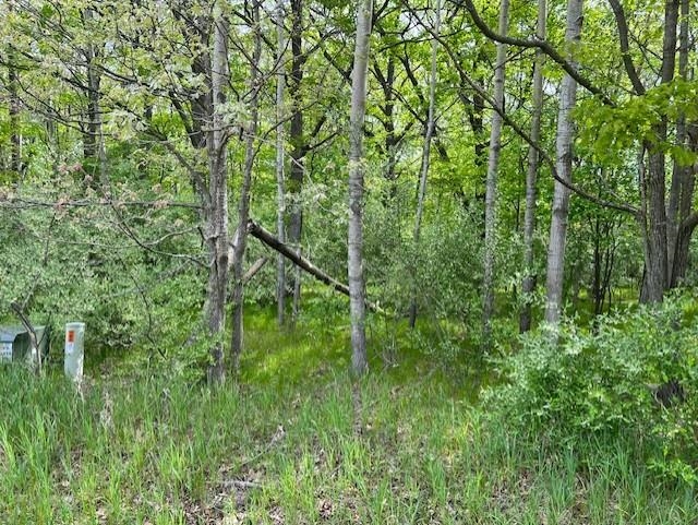 Homes for sale in Weidman, MI | 1004 Duquesa Dr, Weidman, MI 48893 | MLS# 80055315