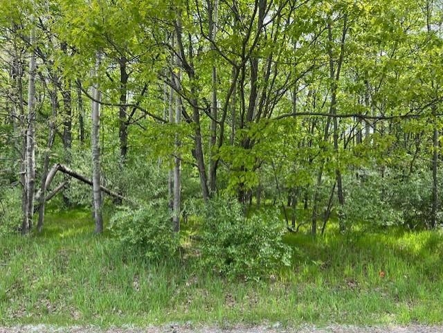 Homes for sale in Weidman, MI | 1004 Duquesa Dr, Weidman, MI 48893 | MLS# 80055315