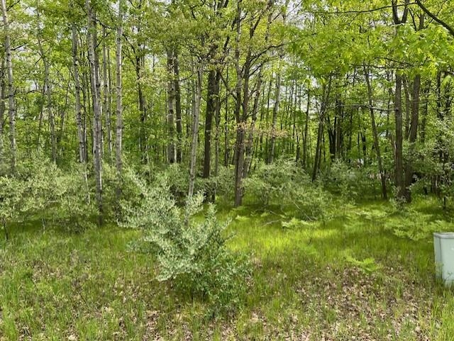 Homes for sale in Weidman, MI | 1004 Duquesa Dr, Weidman, MI 48893 | MLS# 80055315