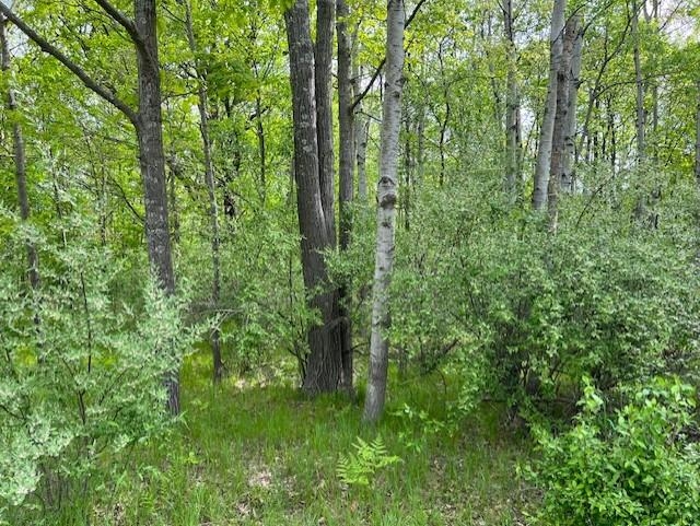 Homes for sale in Weidman, MI | 1004 Duquesa Dr, Weidman, MI 48893 | MLS# 80055315