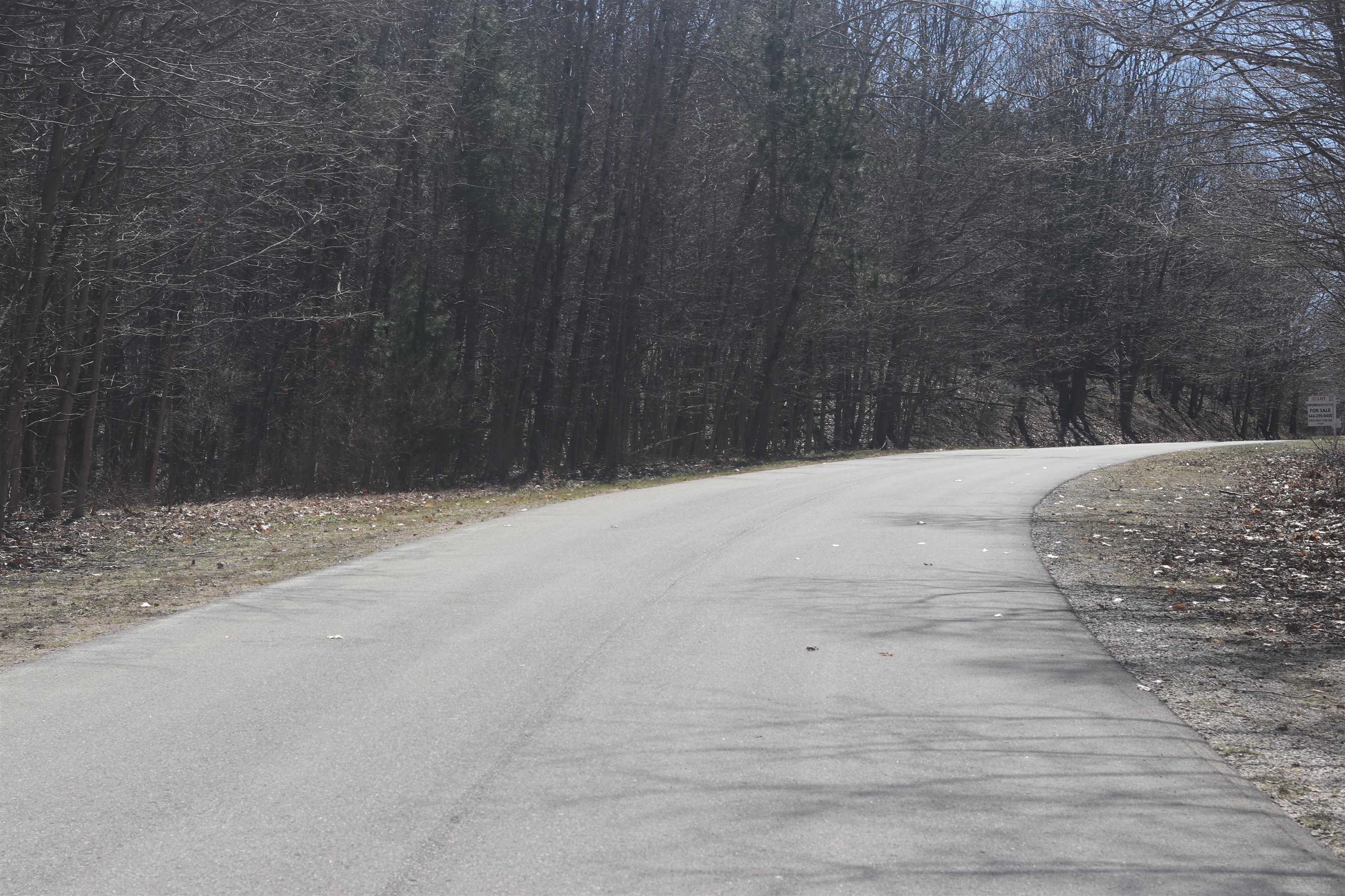 Homes for sale in Beulah, MI | Lot 21 Crystal View Cmns, Beulah, MI 49617 | MLS# 80055987