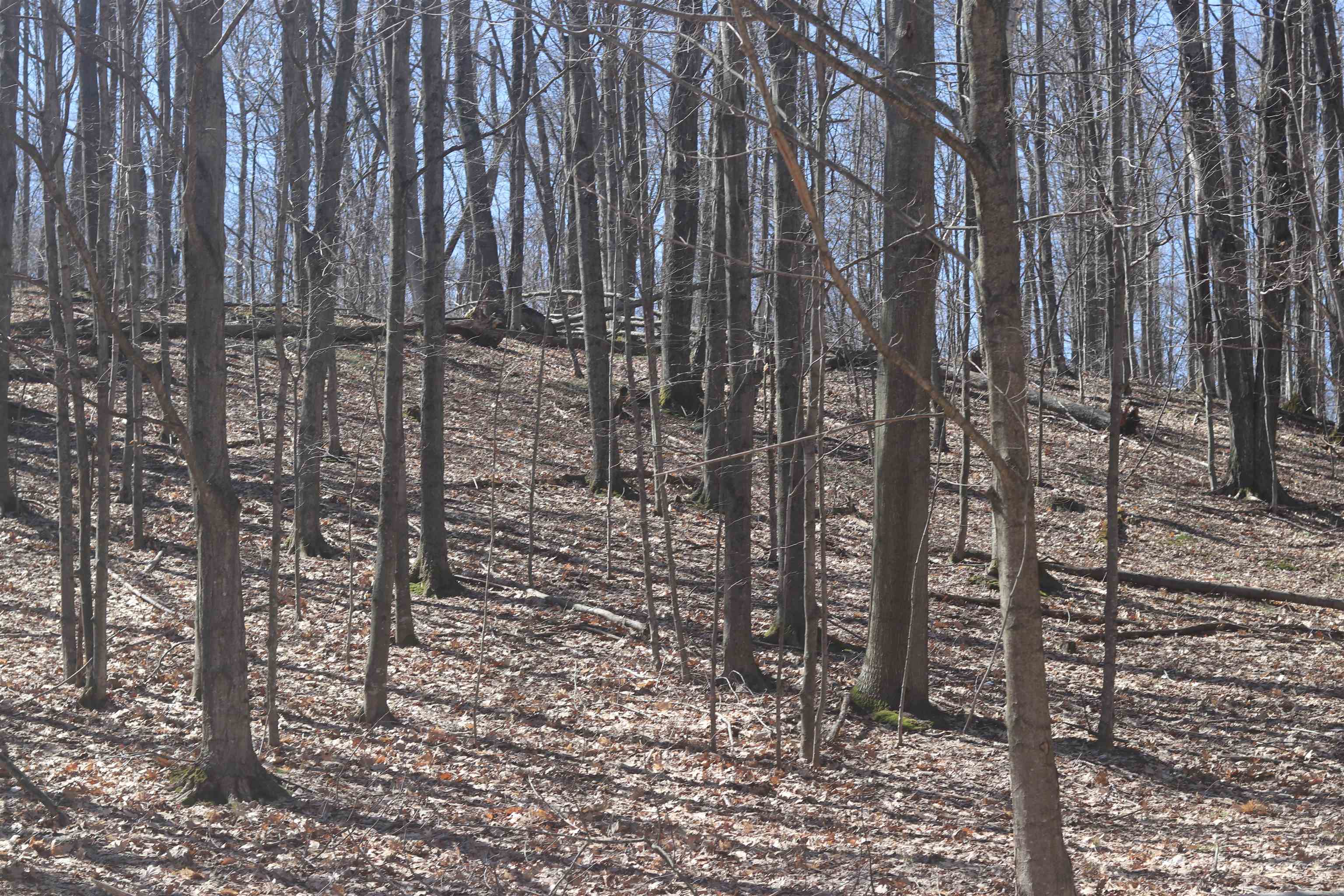 Homes for sale in Beulah, MI | Lot 21 Crystal View Cmns, Beulah, MI 49617 | MLS# 80055987