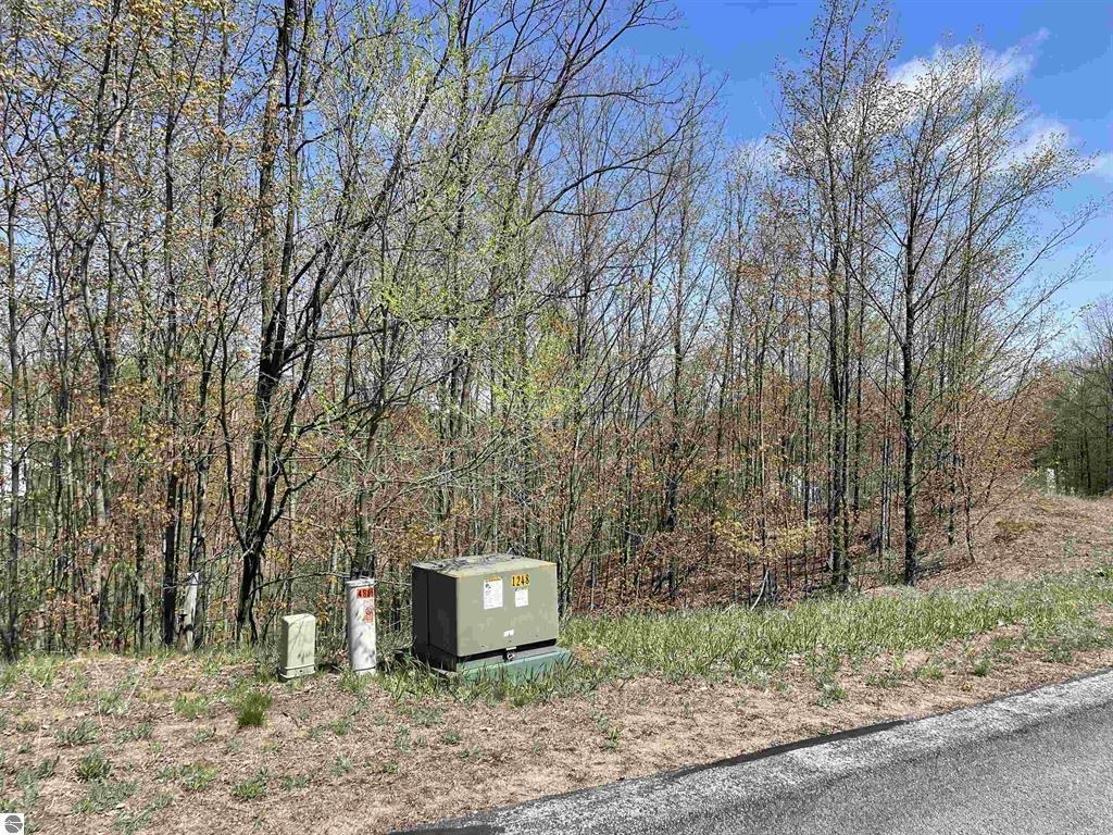 Homes for sale in Traverse City, MI | 4863 Grayhawk Blvd, Traverse City, MI 49684 | MLS# 80056168