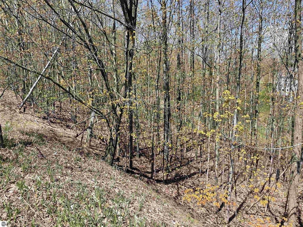 Homes for sale in Traverse City, MI | 4863 Grayhawk Blvd, Traverse City, MI 49684 | MLS# 80056168