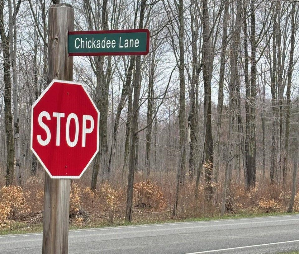 Homes for sale in Thompsonville, MI | 45 Chickadee Ln, Thompsonville, MI 49683 | MLS# 80056610