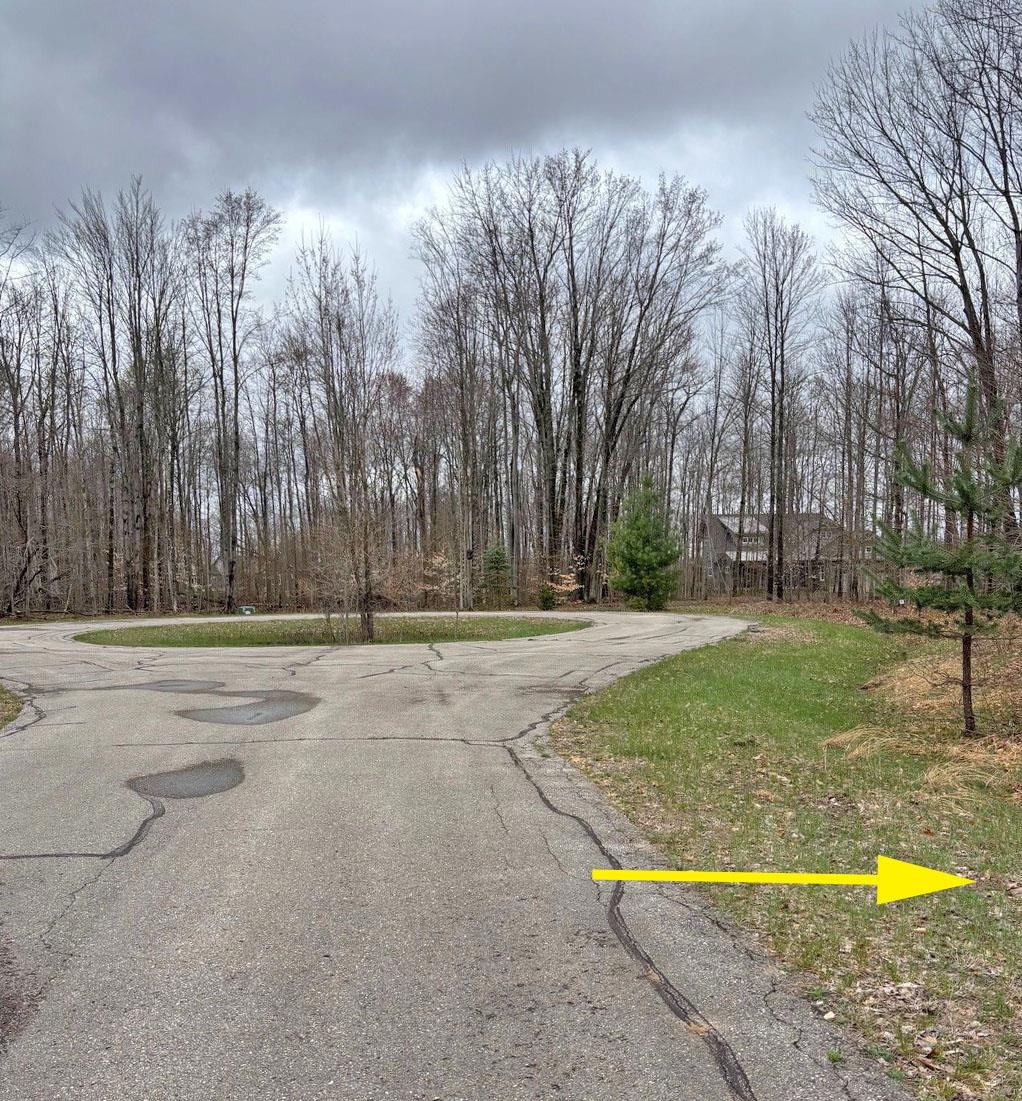 Homes for sale in Thompsonville, MI | 45 Chickadee Ln, Thompsonville, MI 49683 | MLS# 80056610