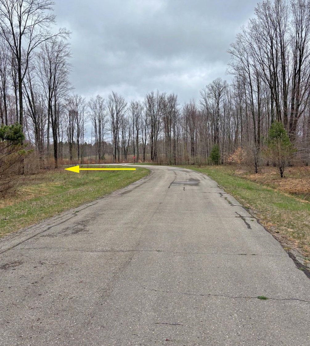 Homes for sale in Thompsonville, MI | 45 Chickadee Ln, Thompsonville, MI 49683 | MLS# 80056610