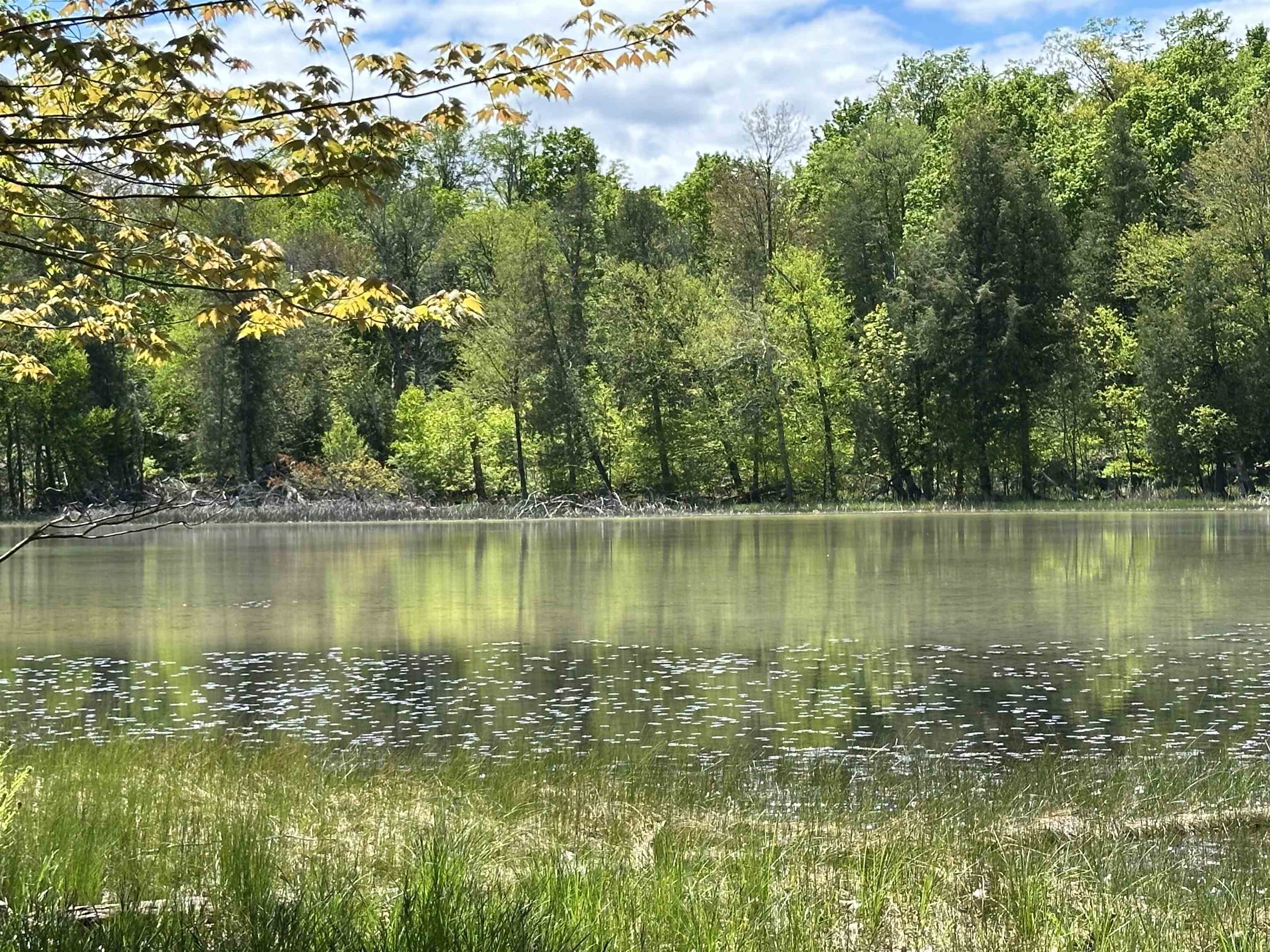 Homes for sale in Williamsburg, MI | French Ct, Williamsburg, MI 49690 | MLS# 80057783